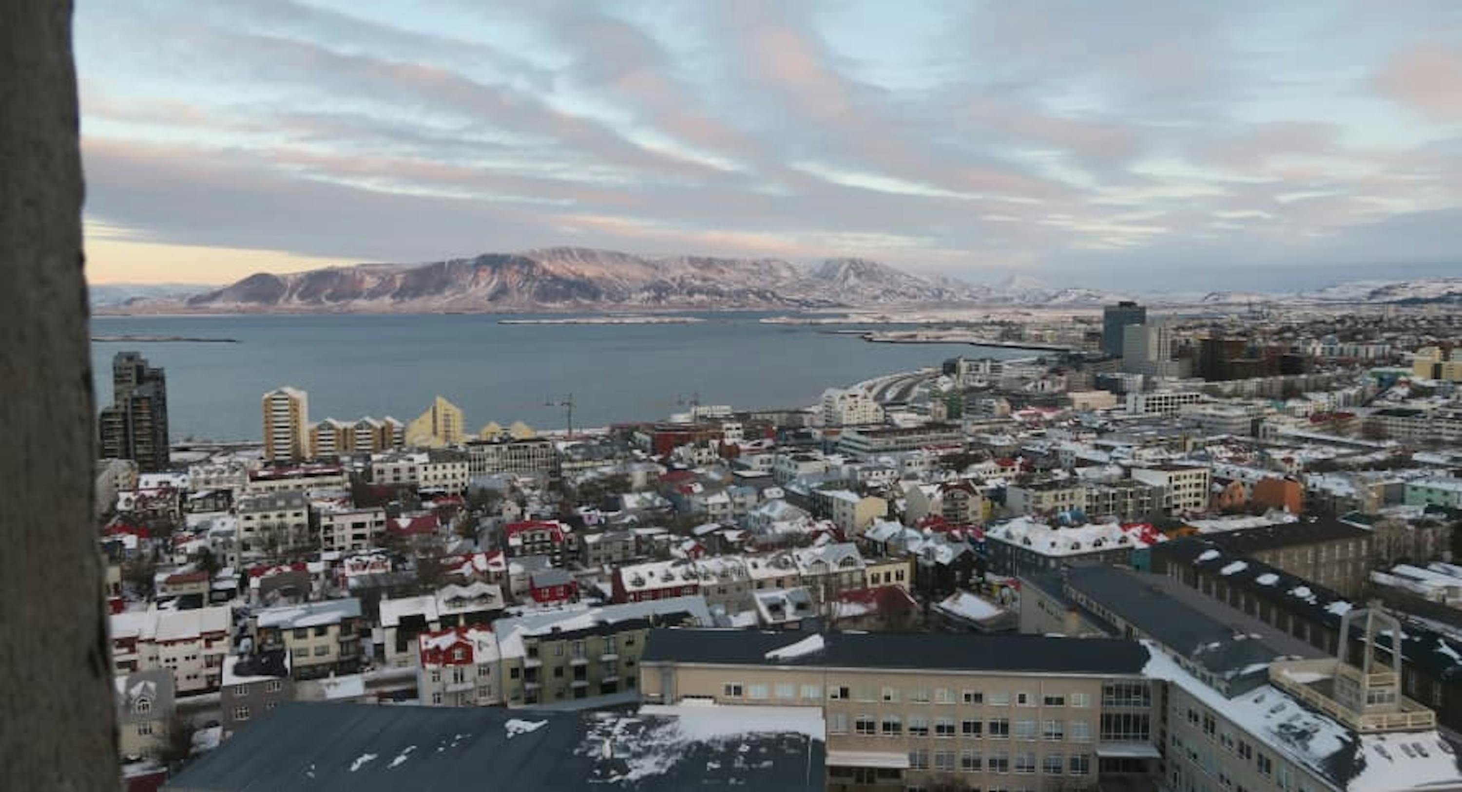 view of reykjavik from hallgrímskirkja church