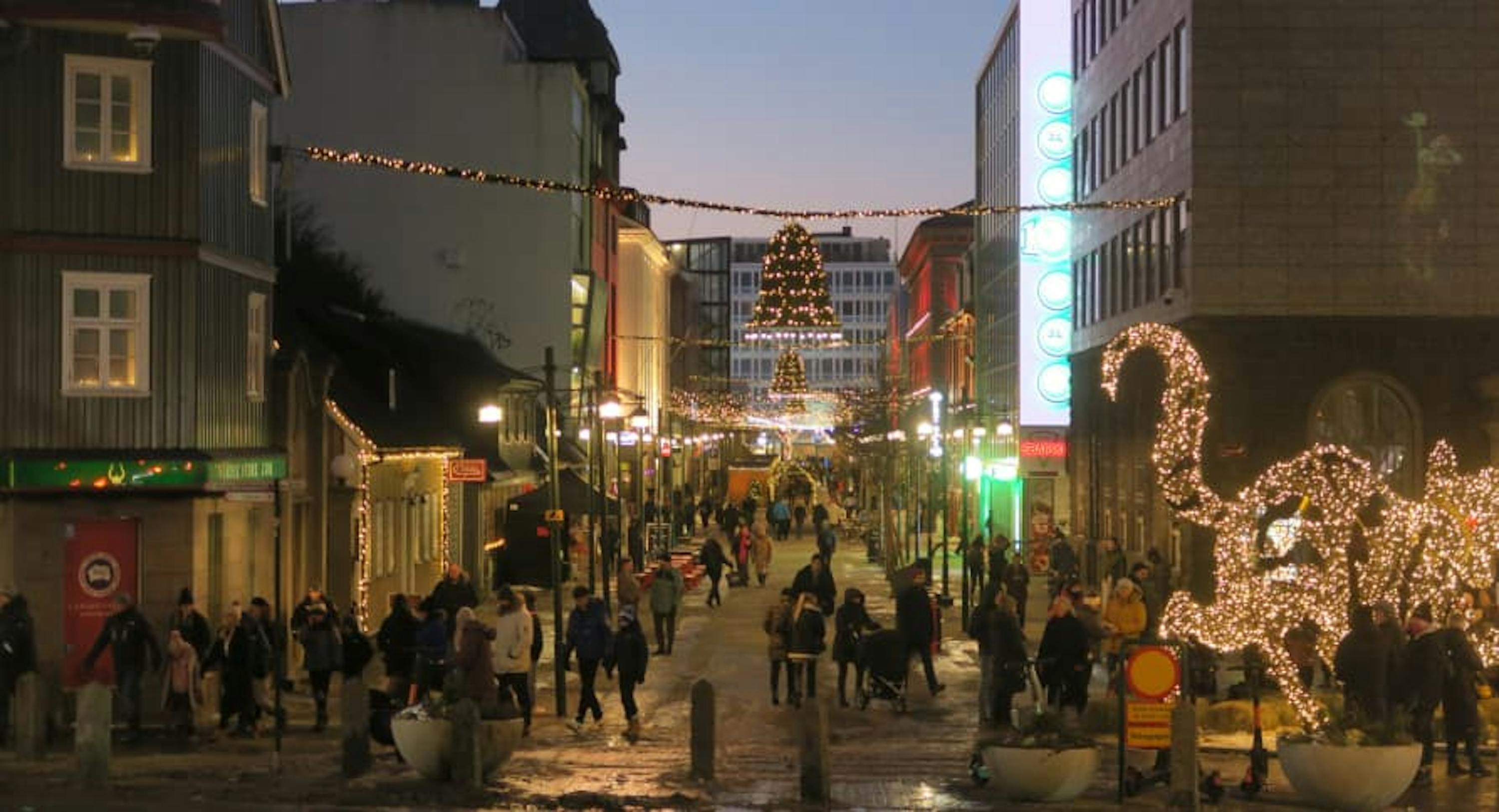 reykjavik at night during christmas