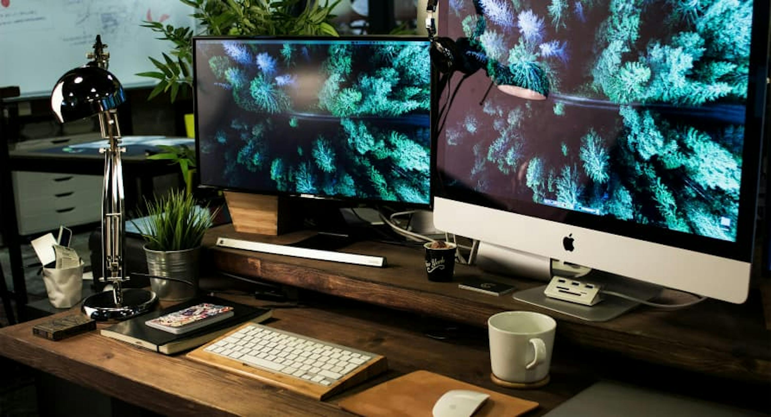 desktops with leaves as screensavers