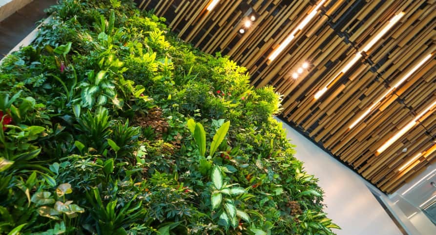 green vegetation under bamboo roof