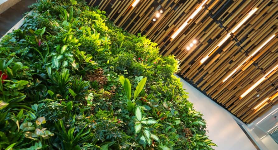 green vegetation under bamboo roof