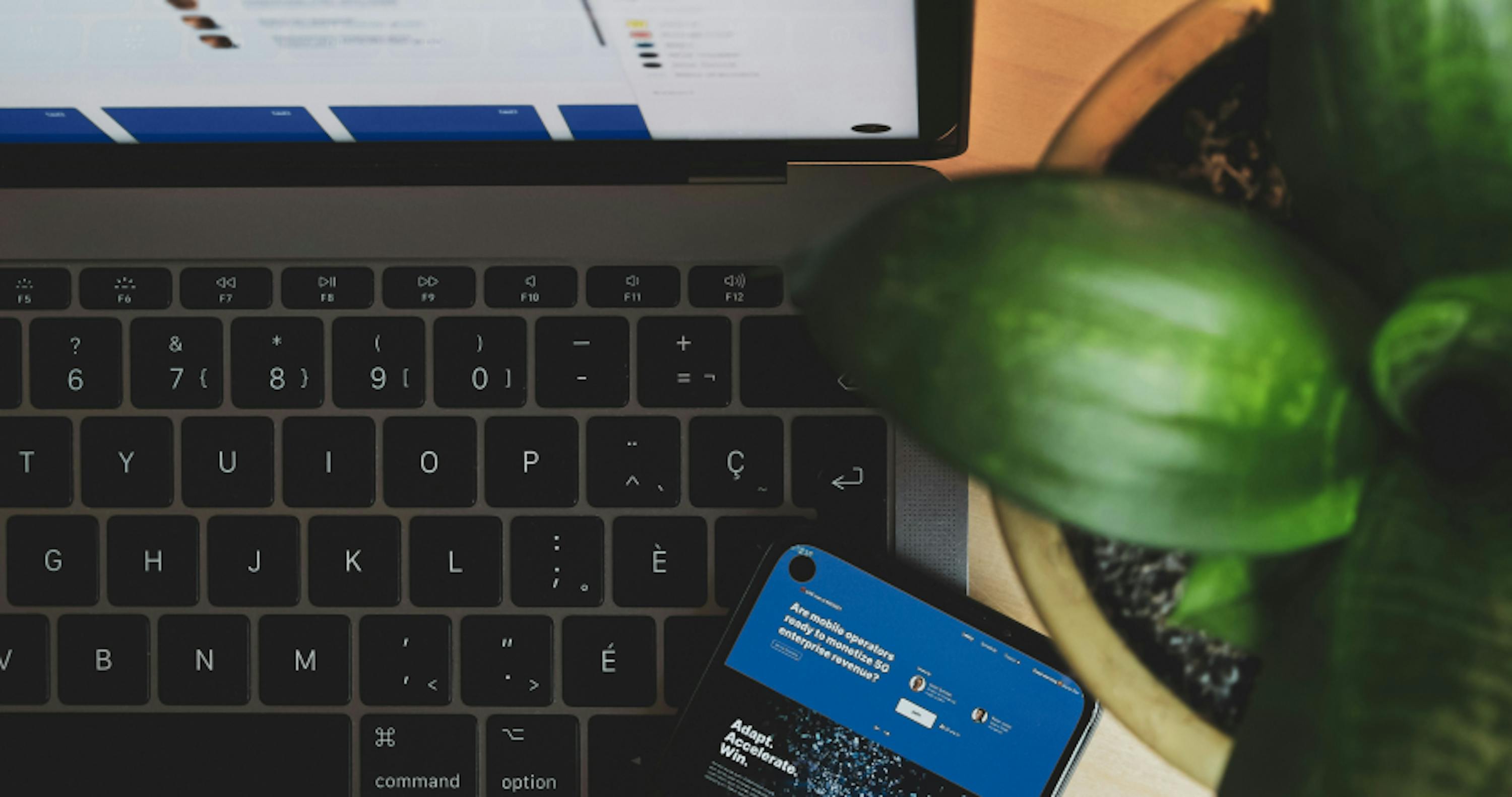 laptop showing keyboard with green plant