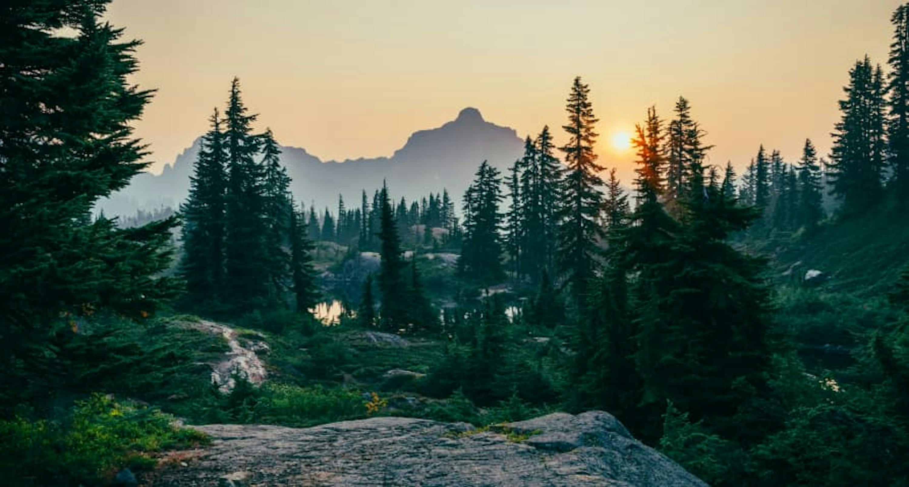 sunset over mountains and forest