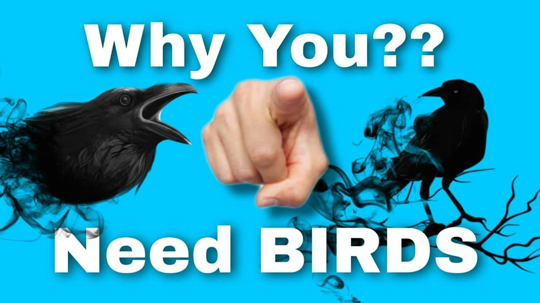 why you need birds with black crows and pointing hand