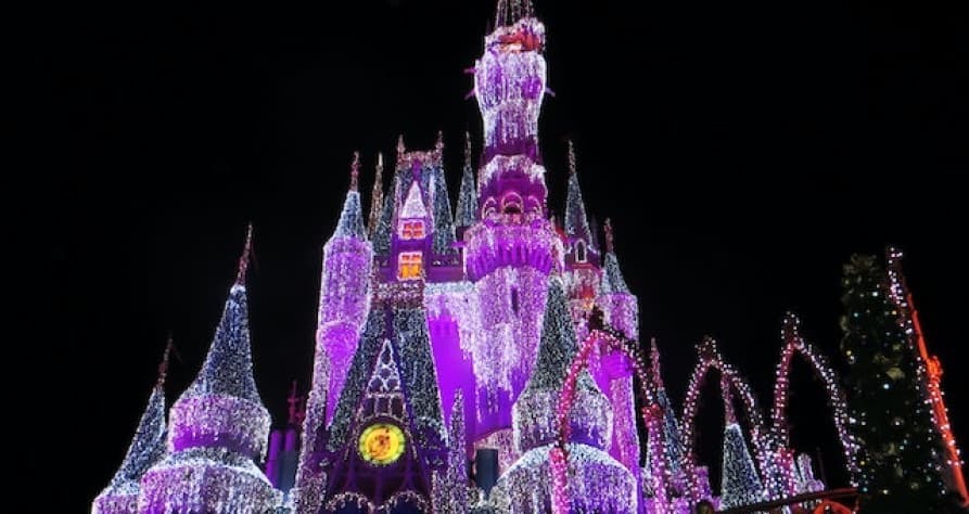 magic kingdom castle purple at night