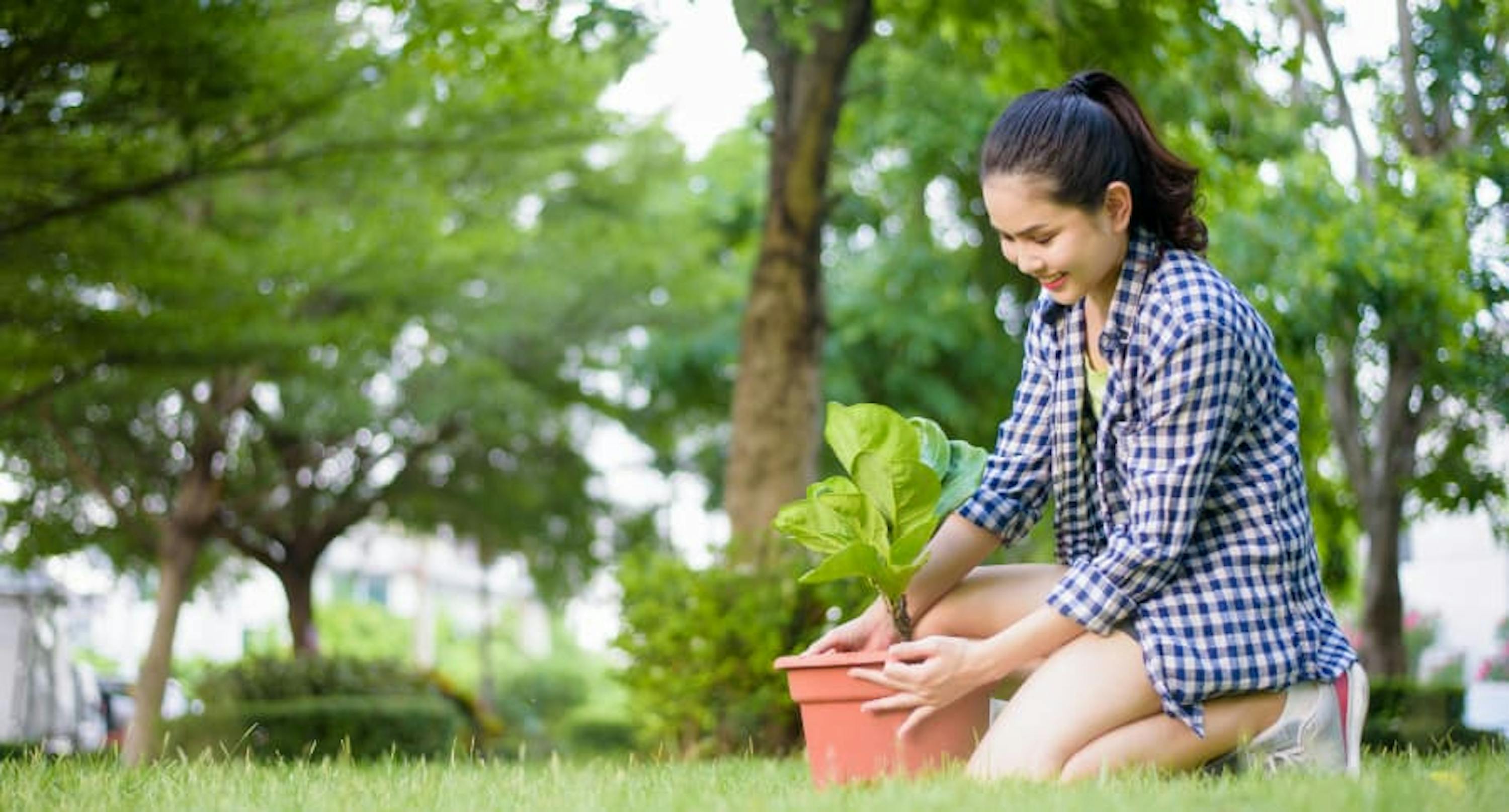 person with plant in green park