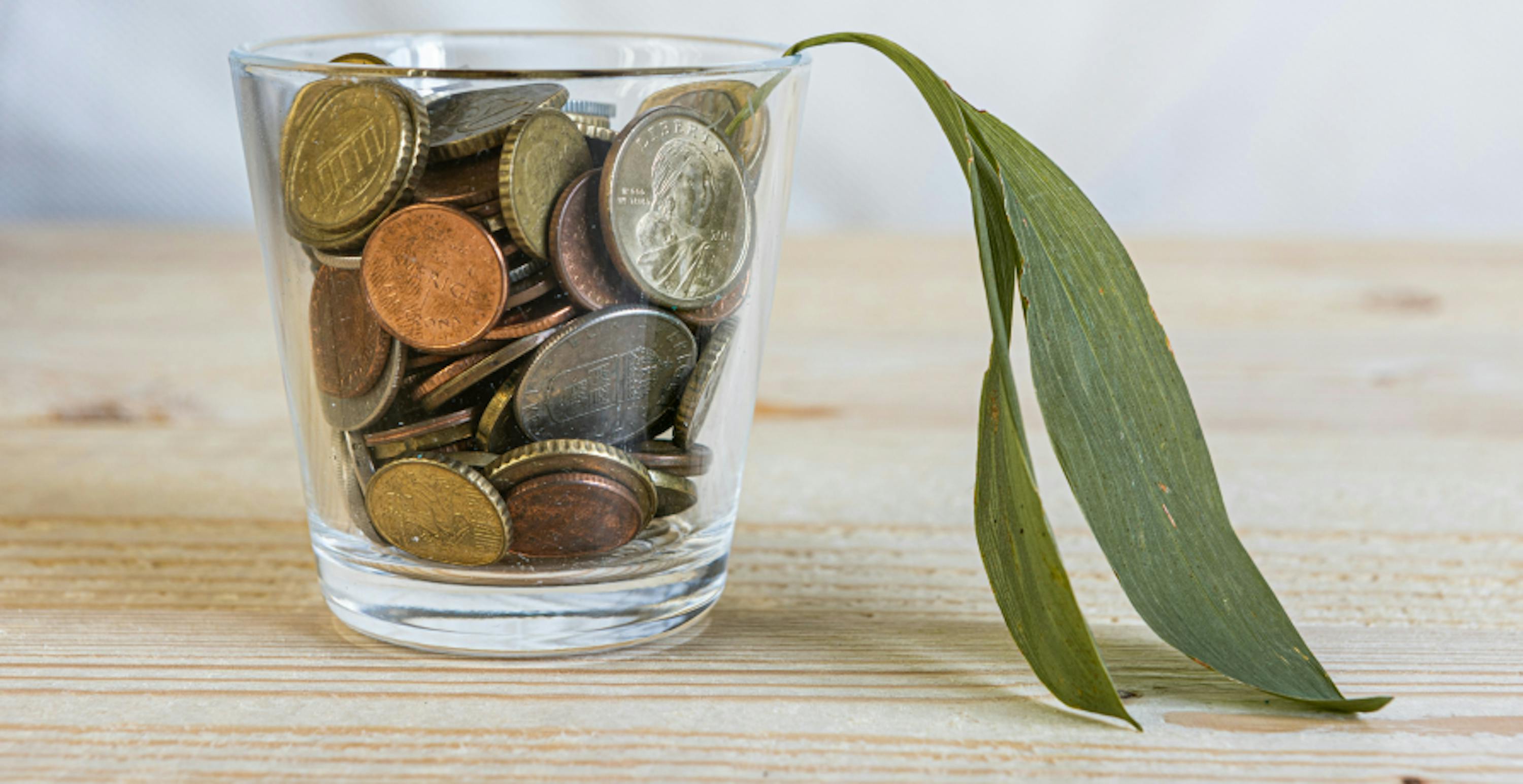 plante en train de mourir dans un pot rempli de monnaie