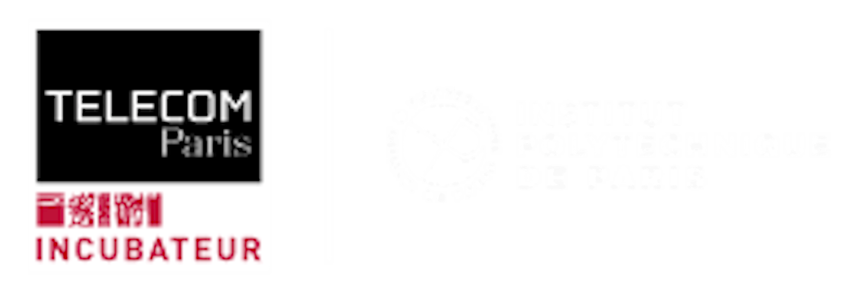 Institut polytechnique Paris | Telecom Paris logo