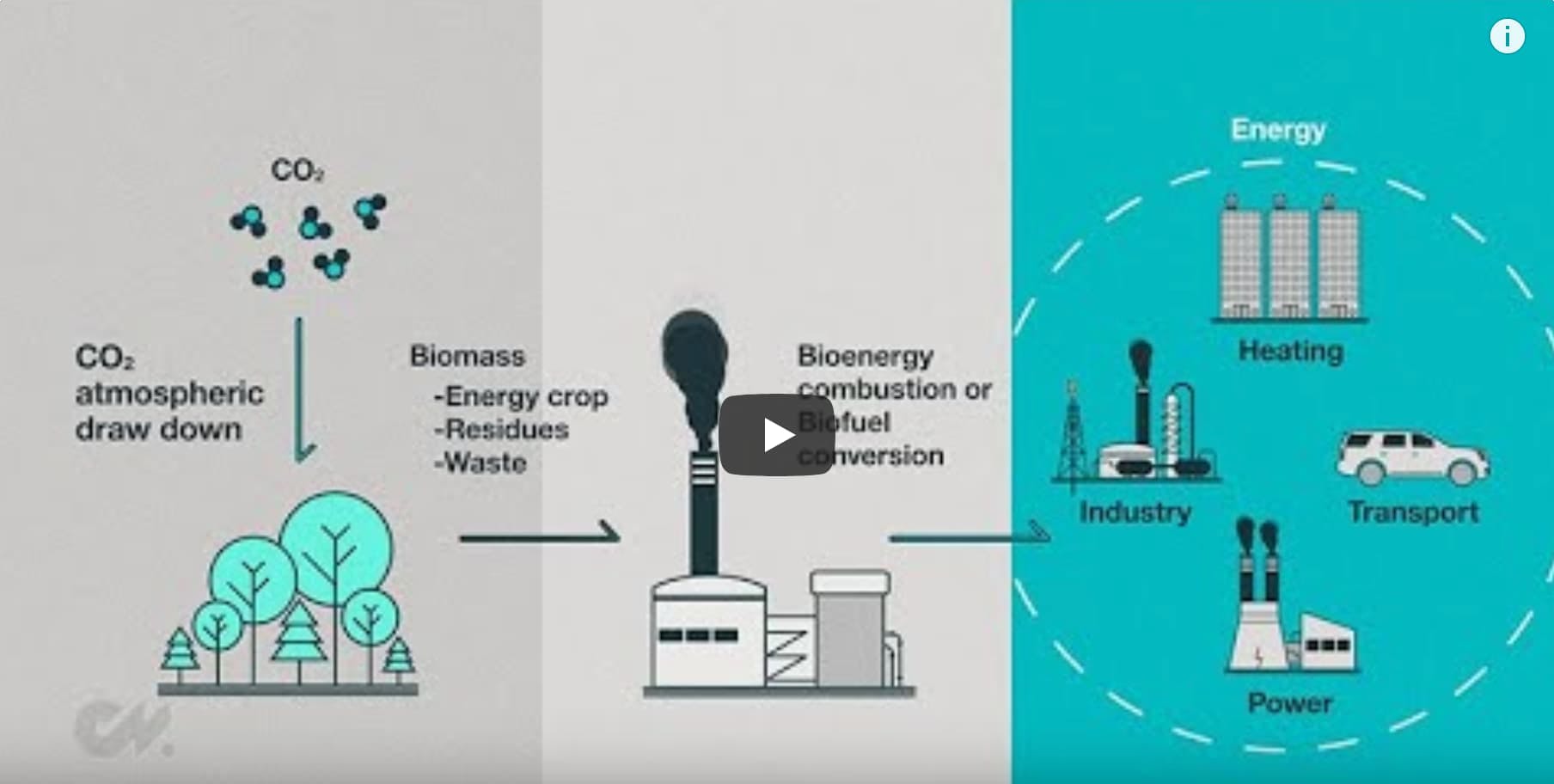 infographic on carbon dioxide removal