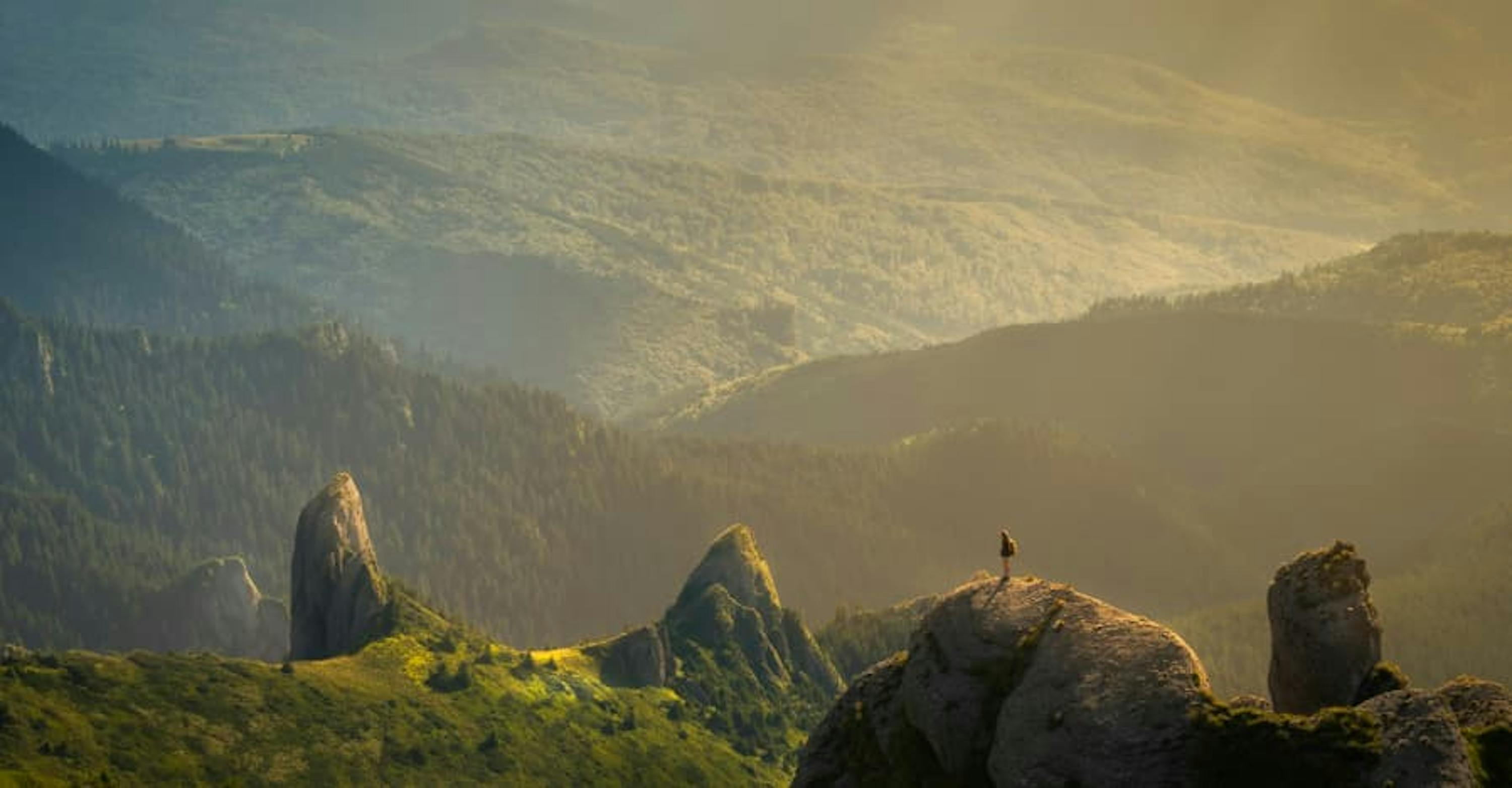 luscious green view