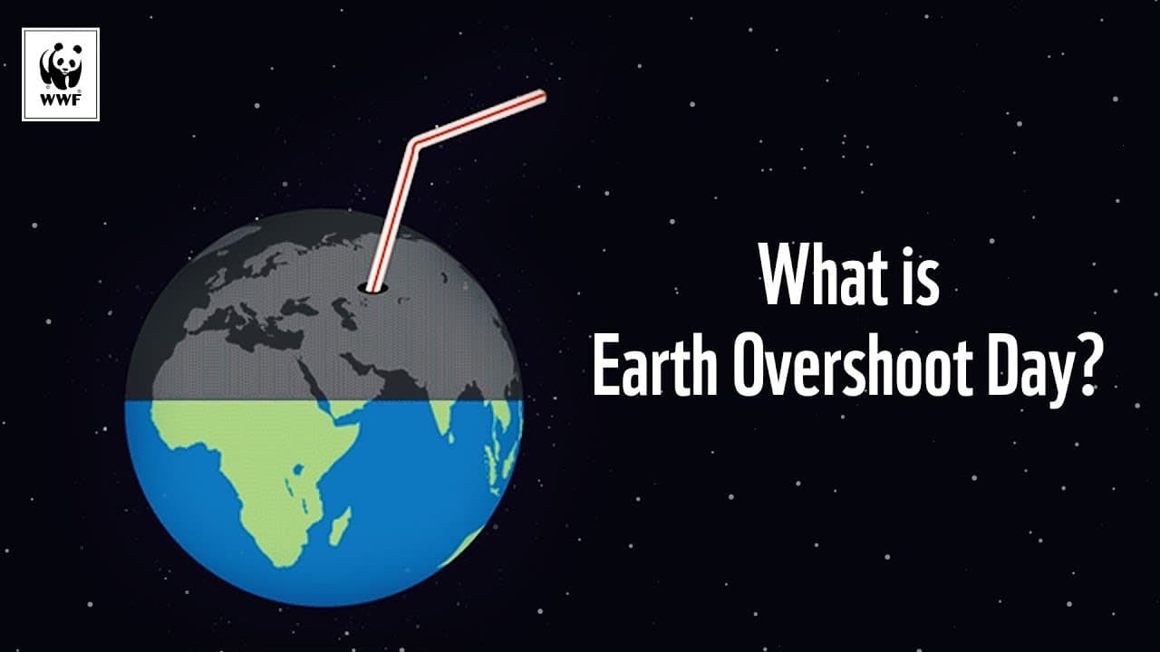 what is overshoot day? with earth and straw in the earth against black starry sky