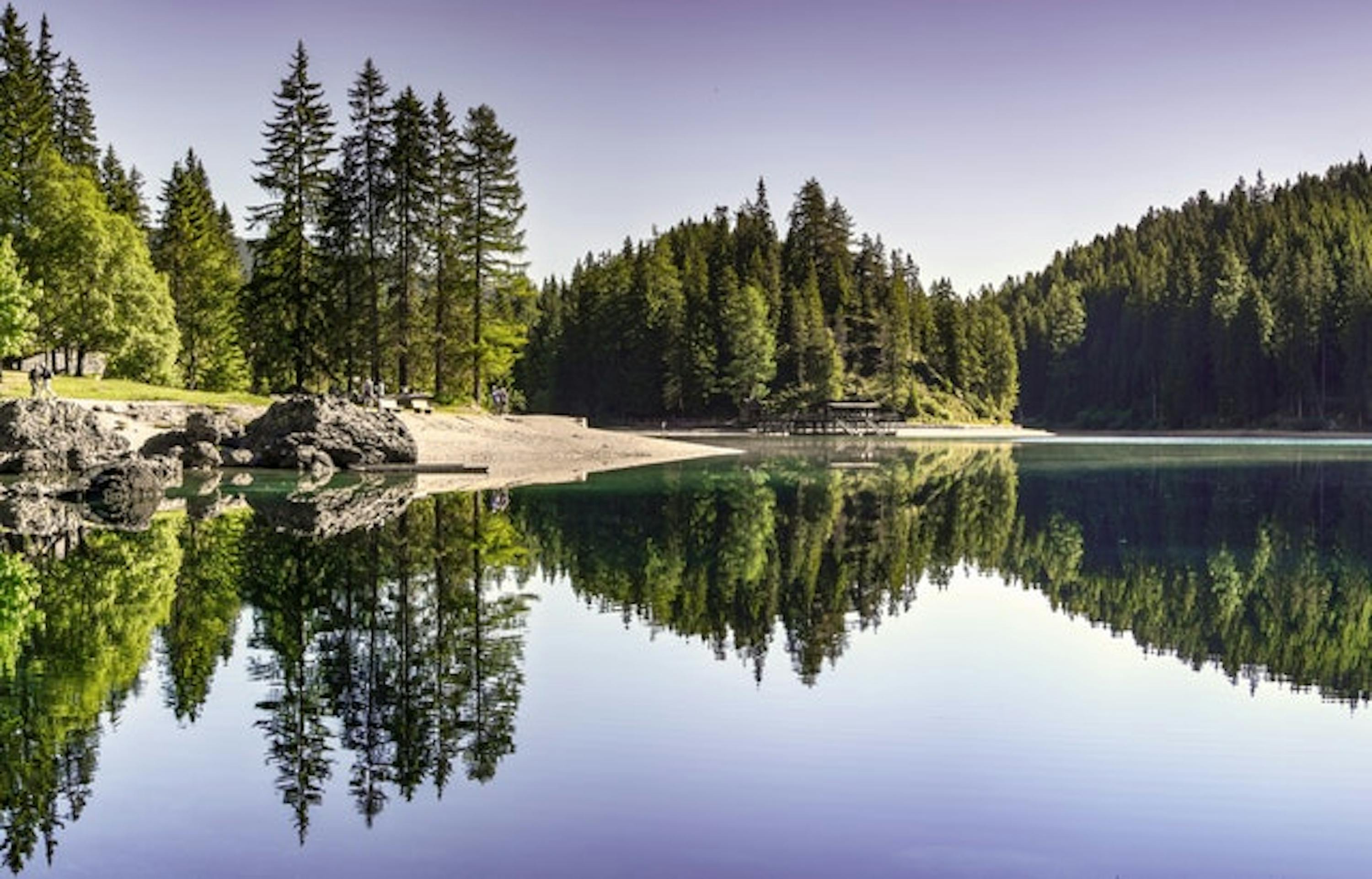  Lac entouré d'arbres