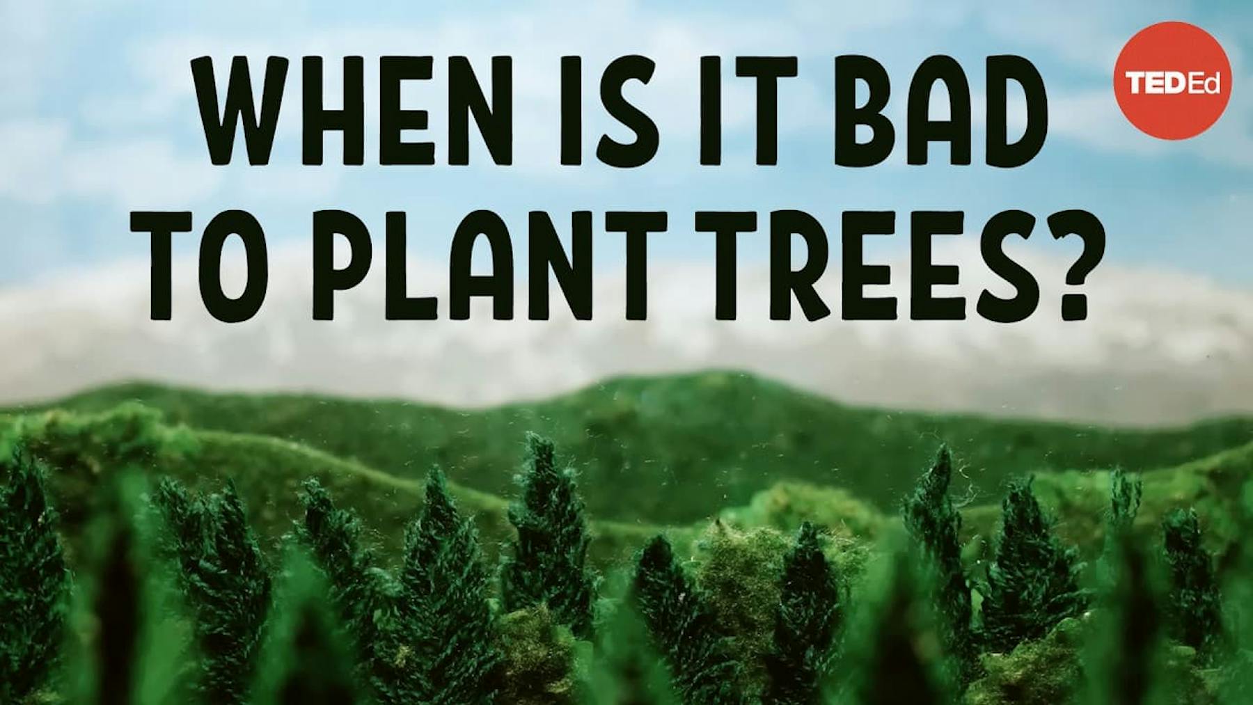 when is it bad to plant trees?