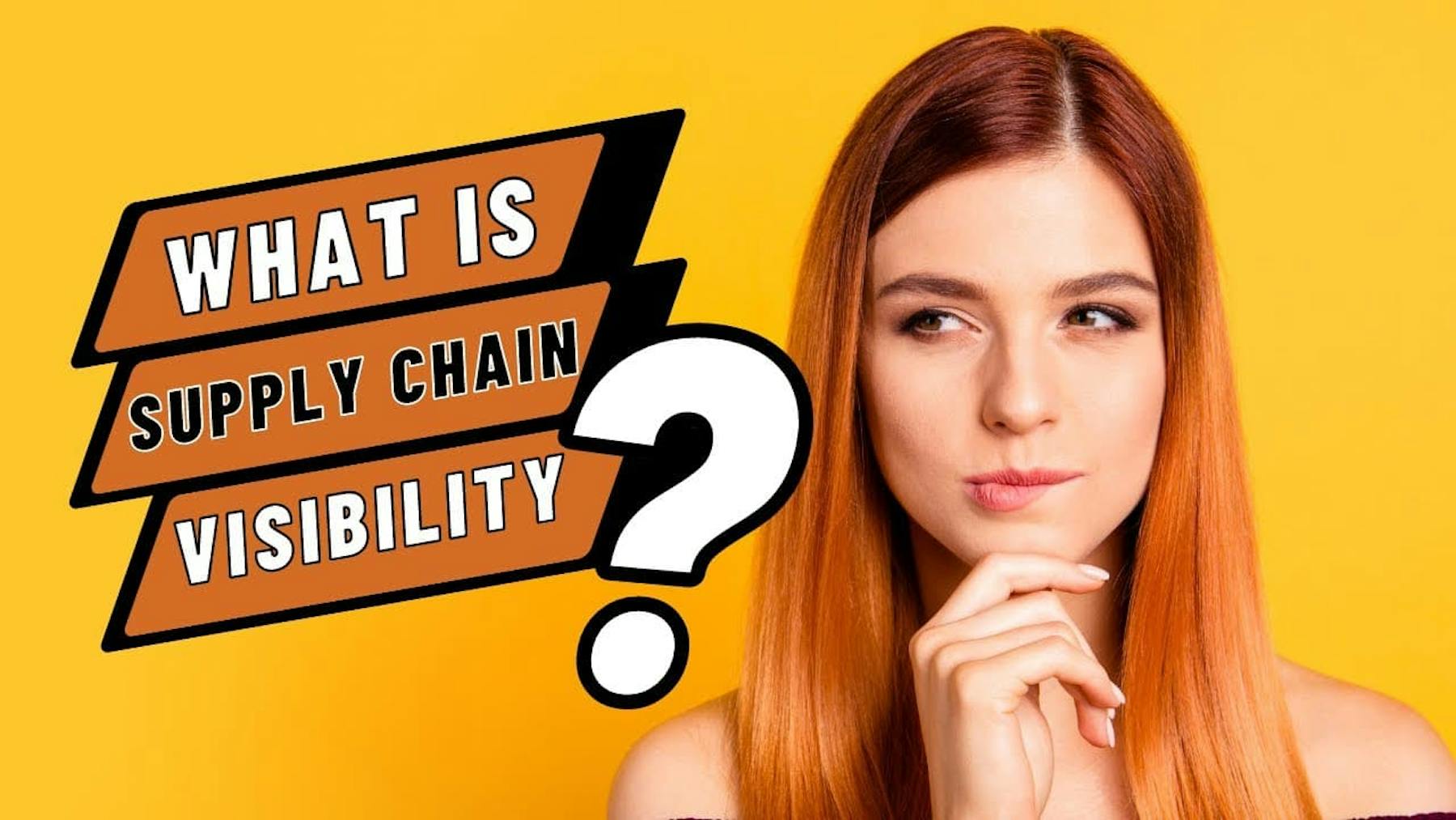 what is supply chain visibility?