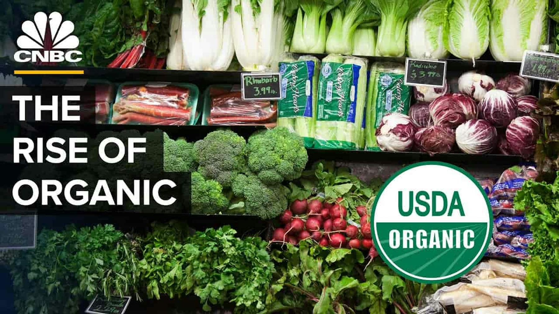 the rise of organic usda organic