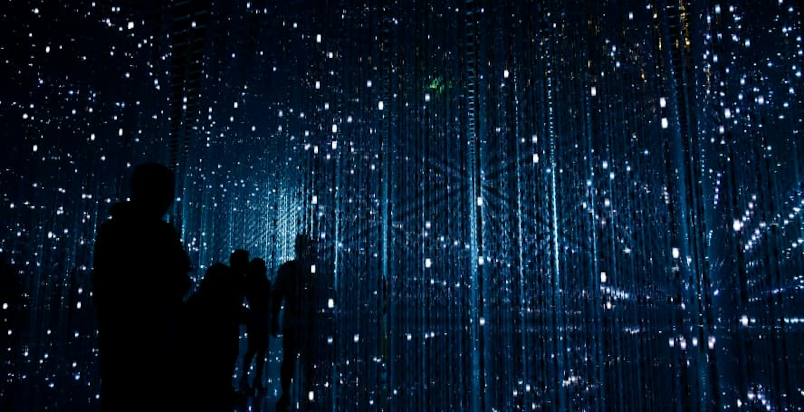 people in starry/tech exhibition