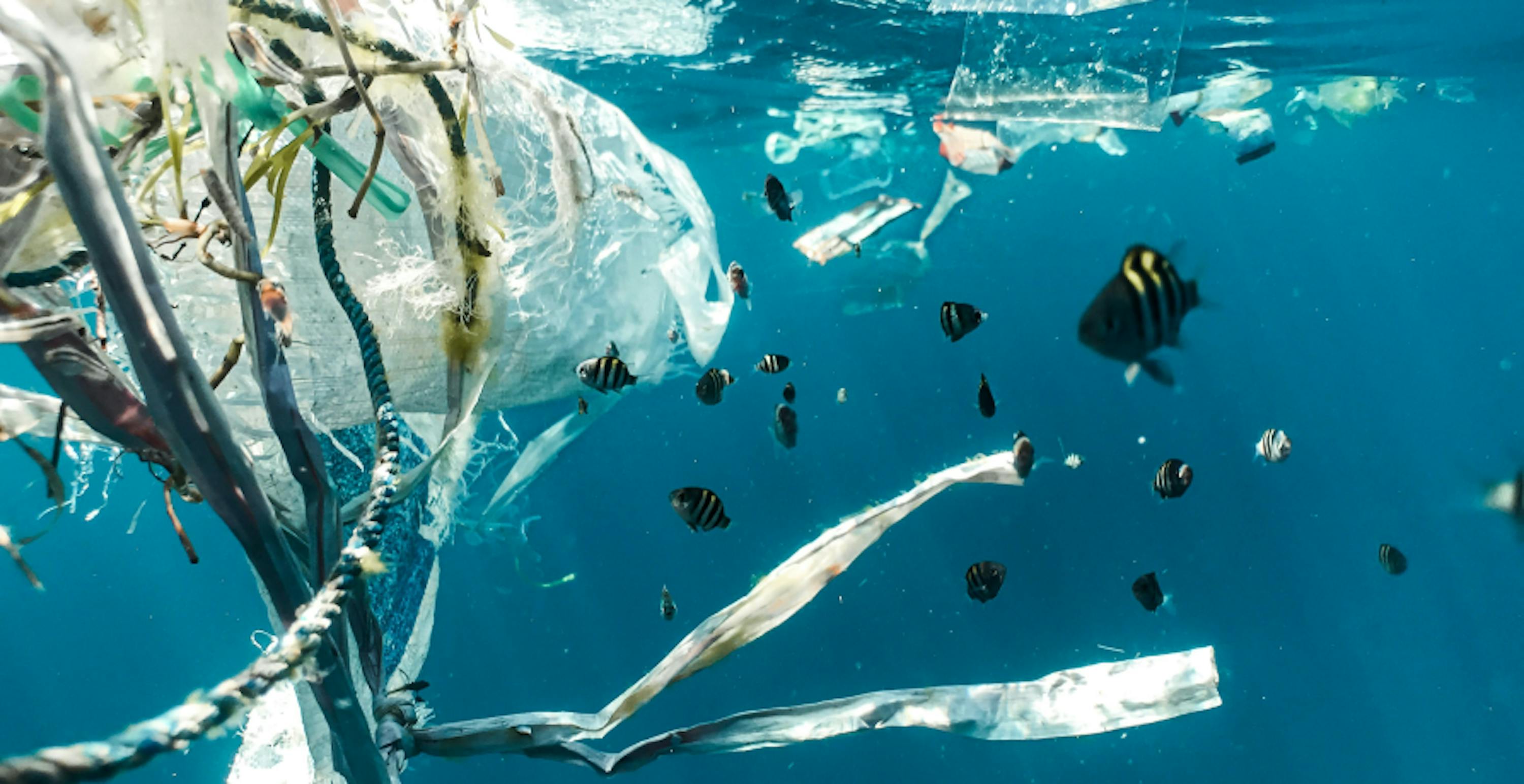 Déchets en plastique flottants dans l'eau