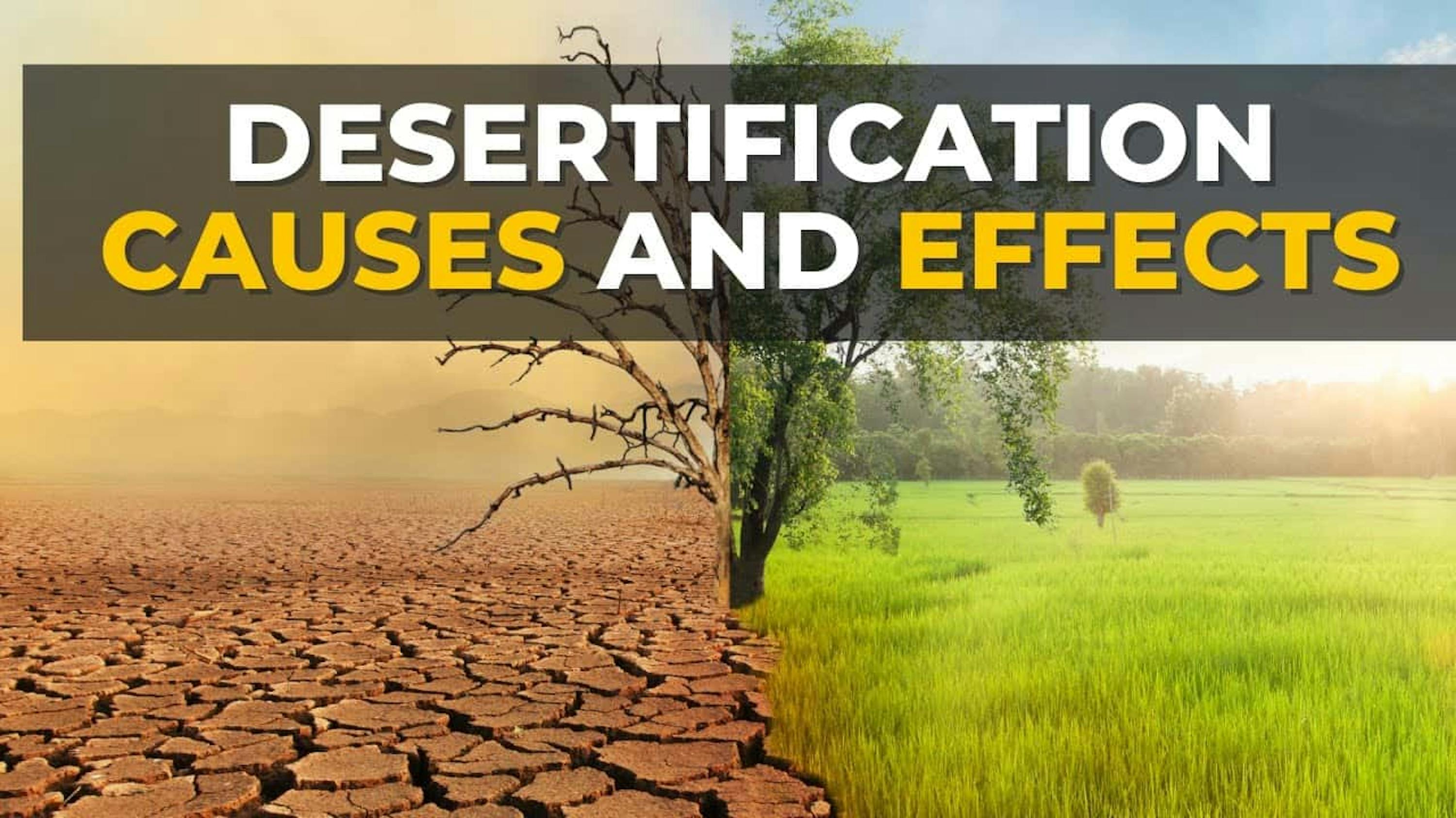 desertification cause and effects