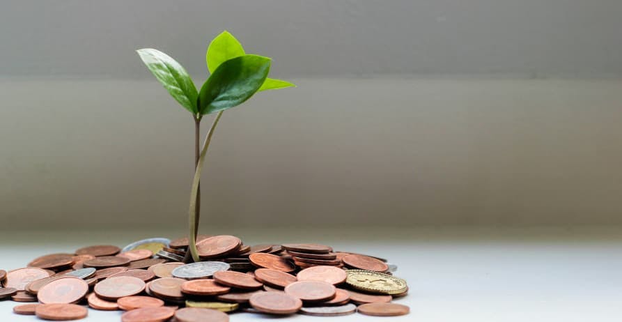 seedling in pile of pennies