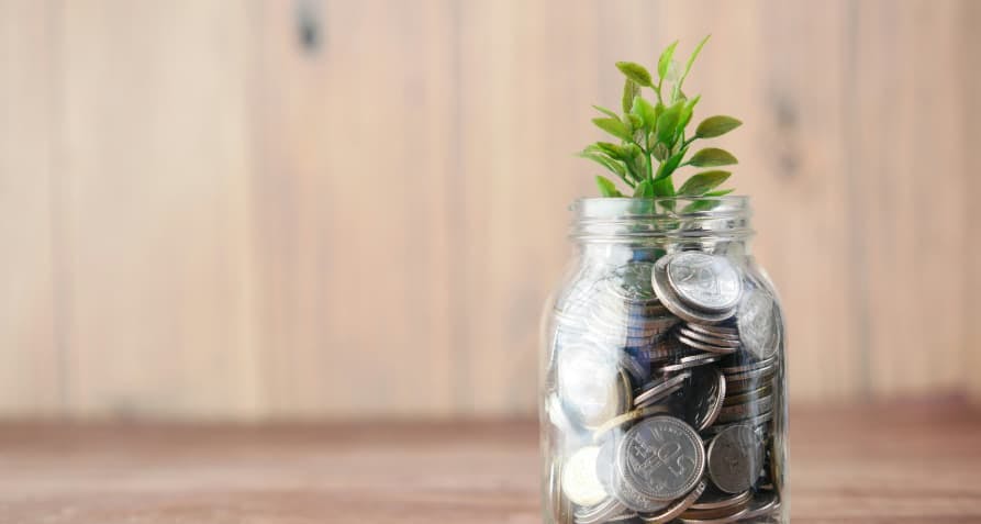 coin jar with small plant inside