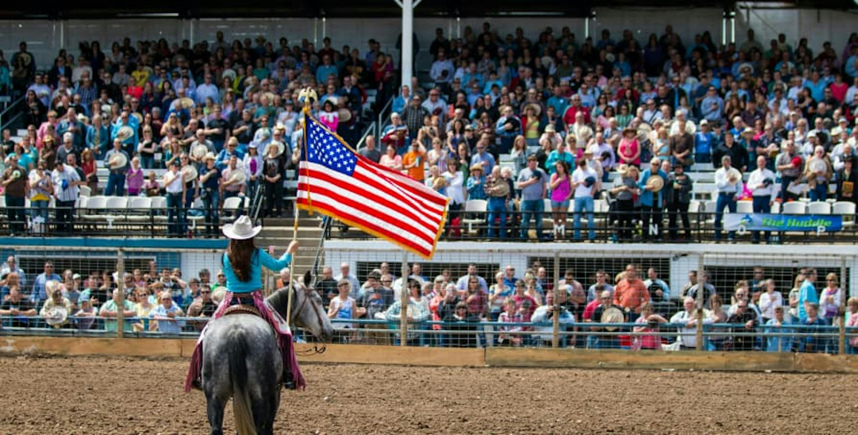 horse show in the usa