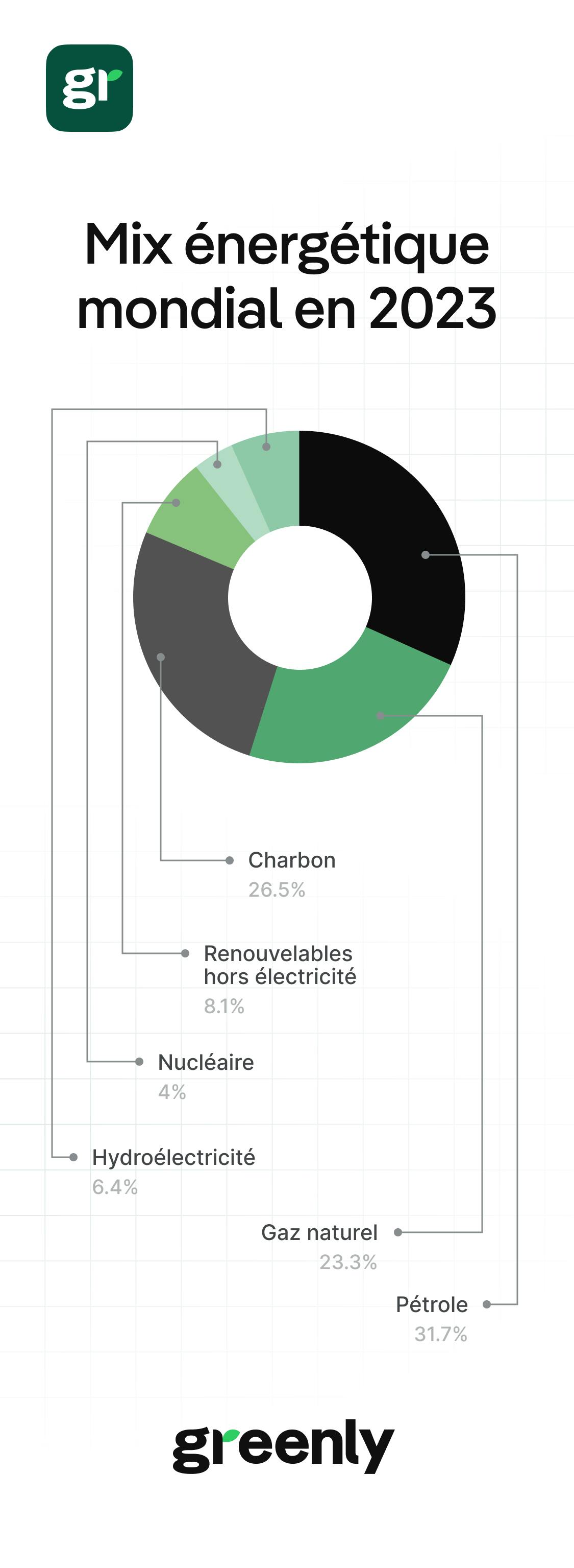 infographie "mix énergétique mondial en 2023", avec le gaz, le pétrole et le charbon presque à égalité remplissant les 3/4 du graphique