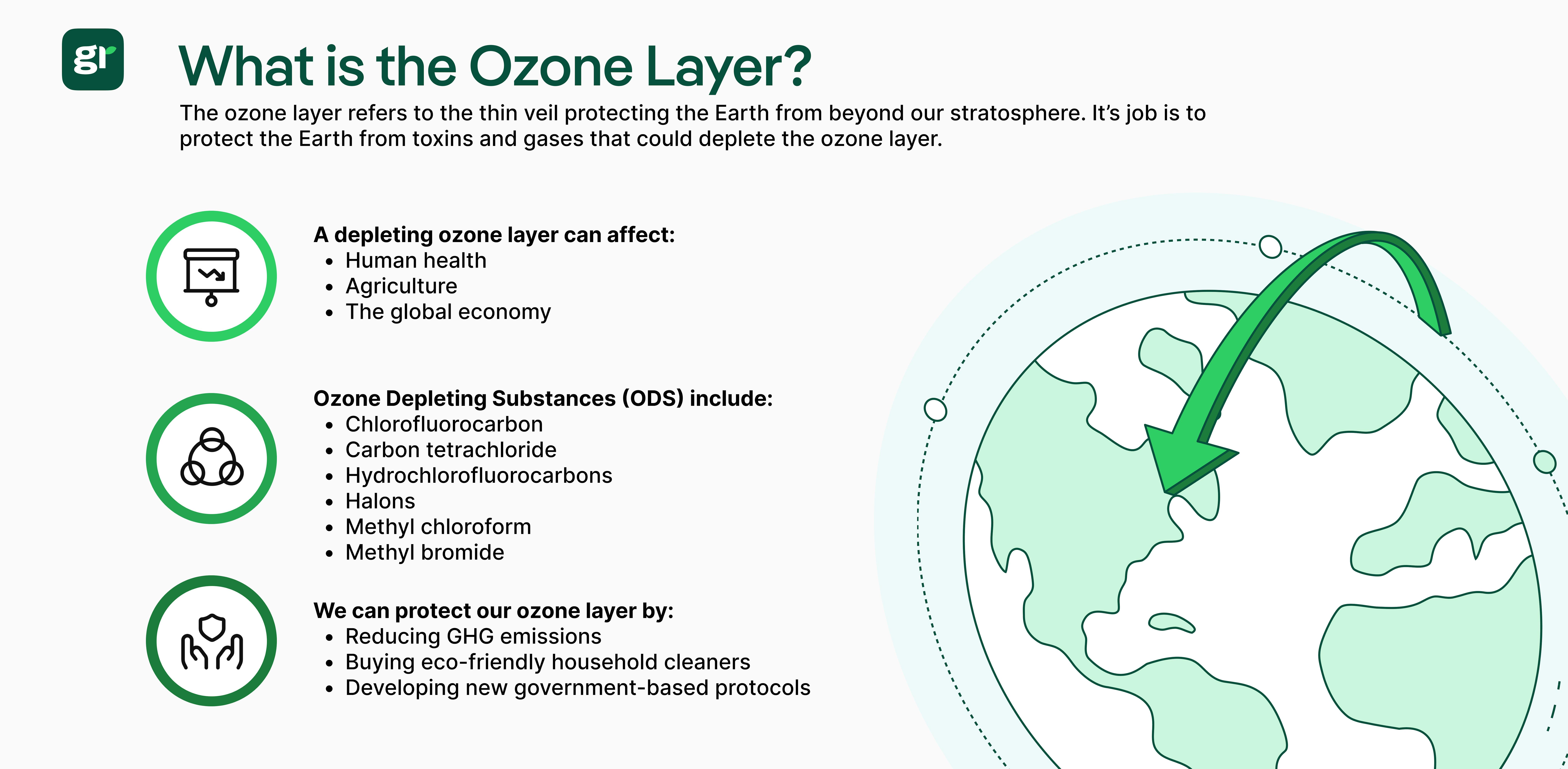 infographic about "what is the Ozone Layer ?"