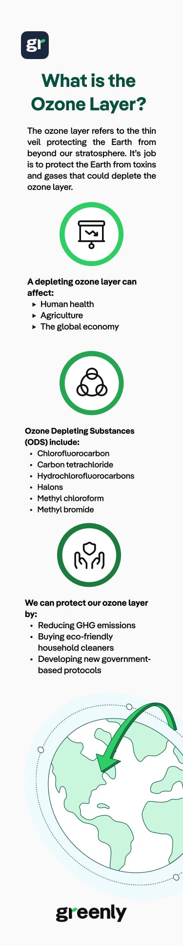 infographic about "what is the Ozone Layer ?"