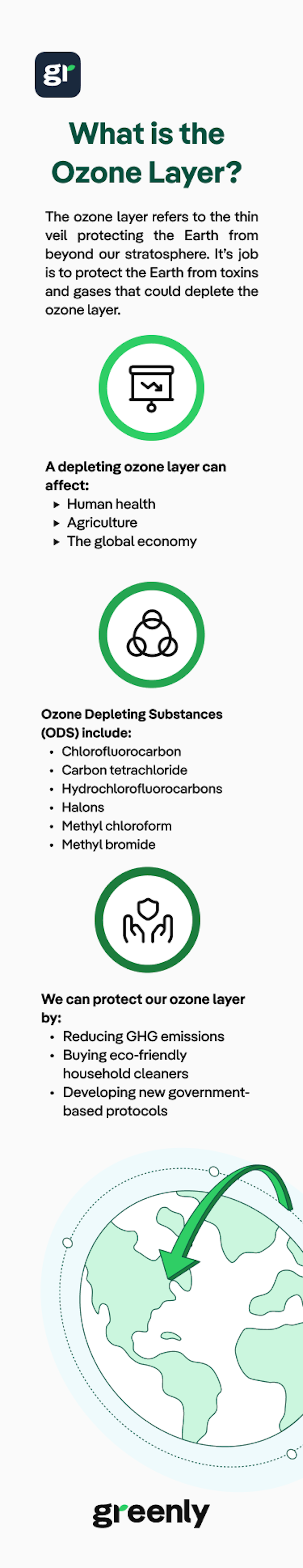 infographic about "what is the Ozone Layer ?"