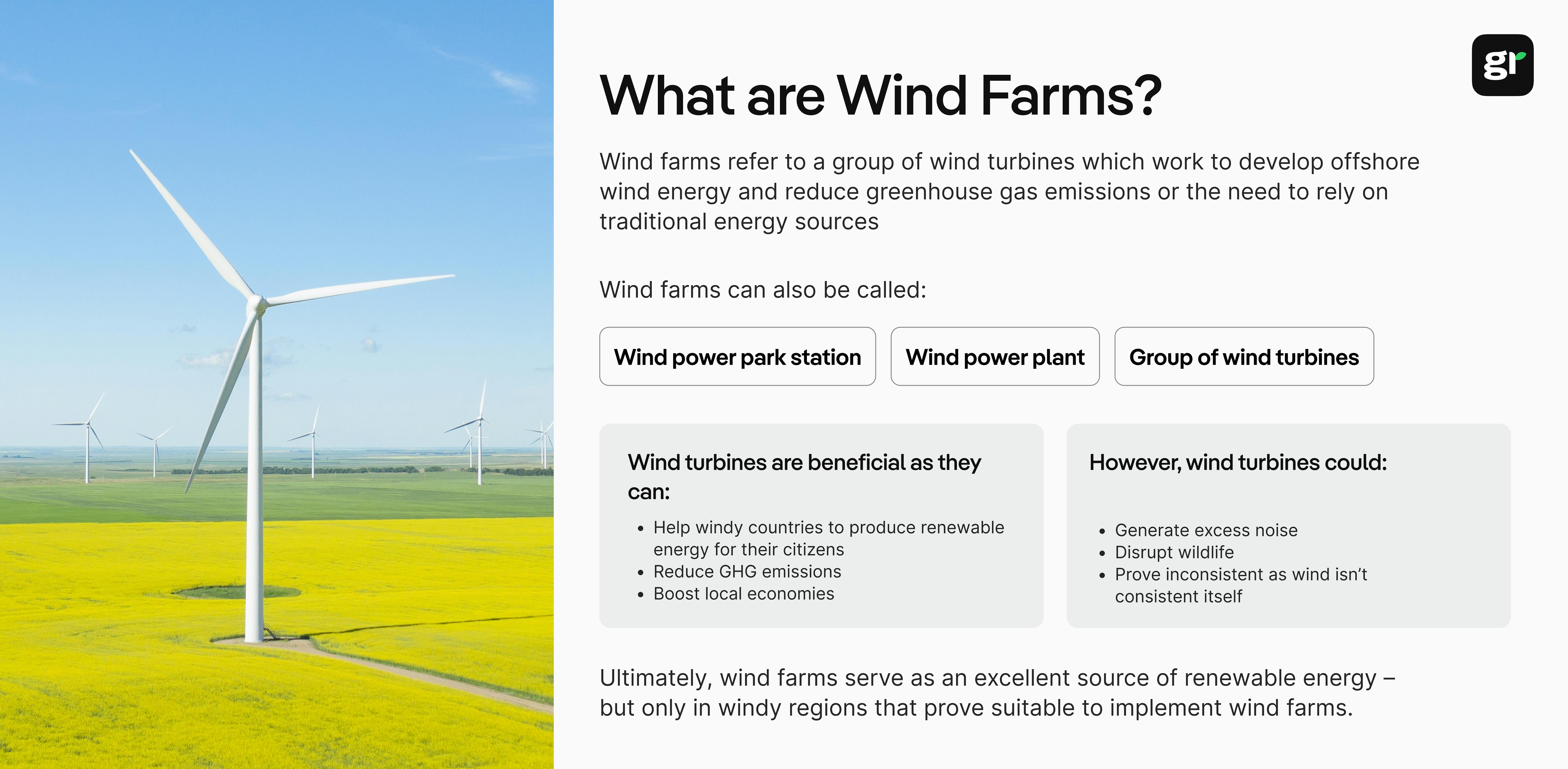 resume of the article about Wind Farm