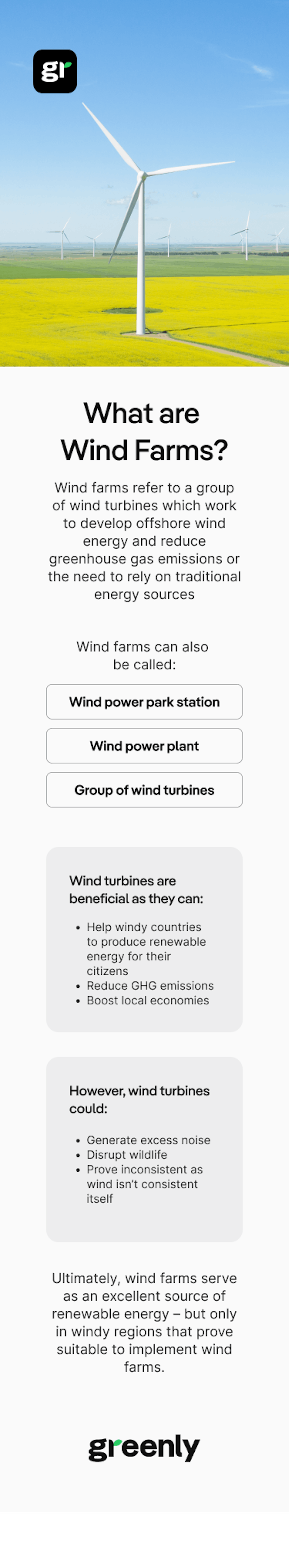 resume of the article about Wind Farm