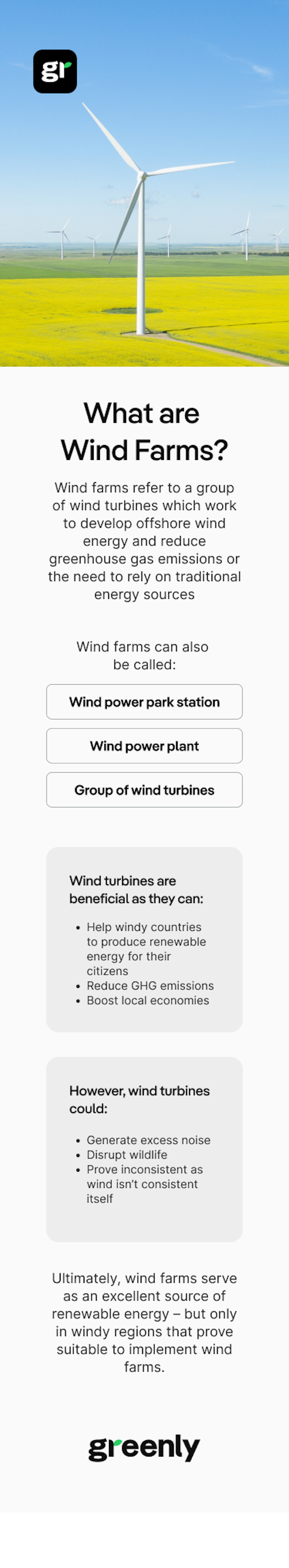 resume of the article about Wind Farm