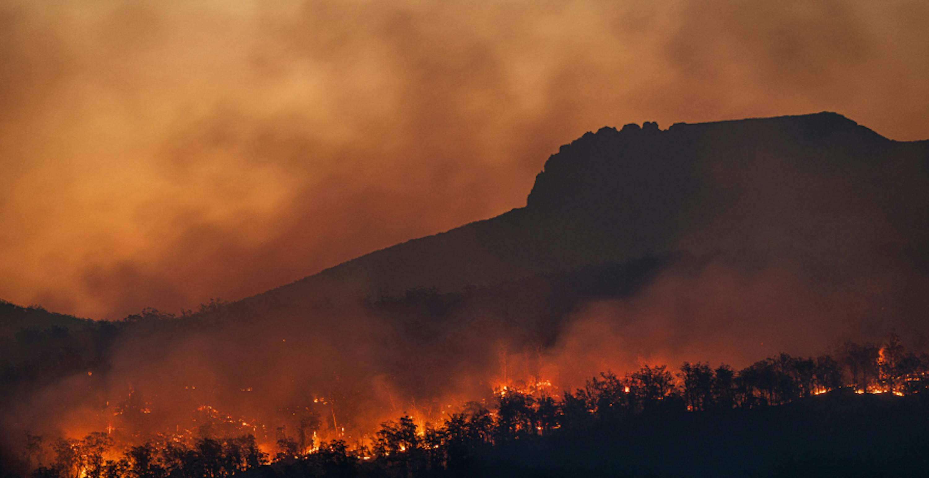 landscape in fire during the night