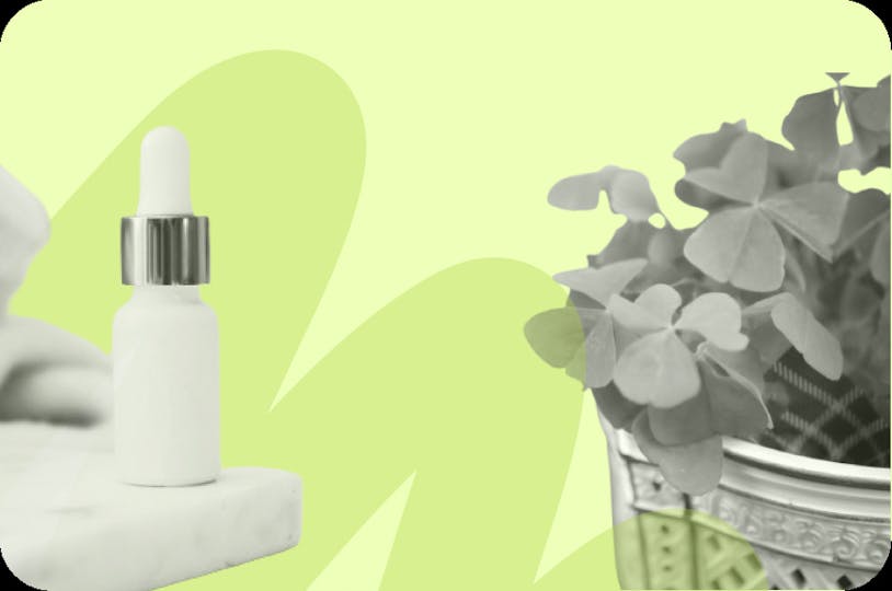 Produit du quotidien (plante, cosmétique, etc.)