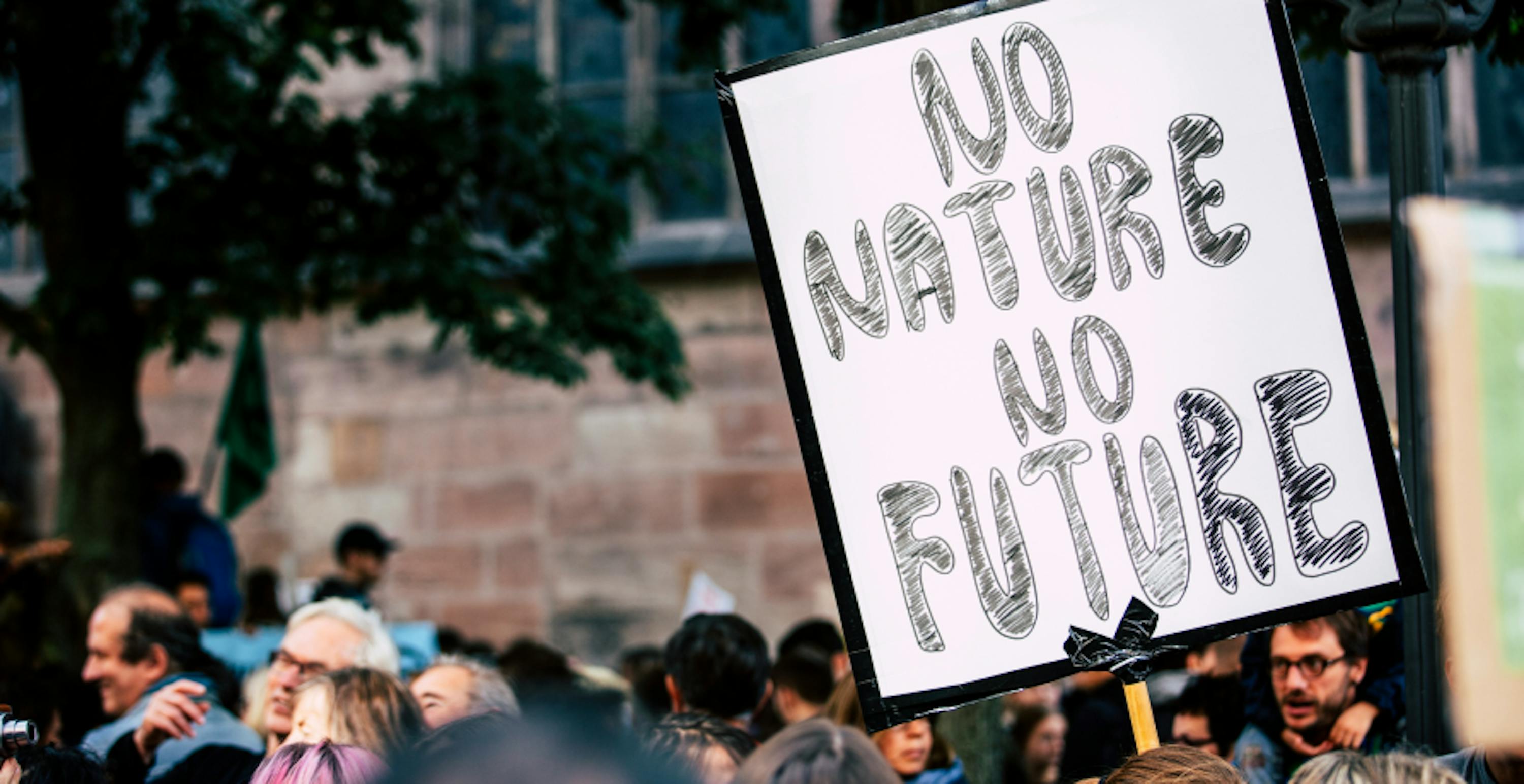 poster of a demonstrator with "no nature no future" written on it