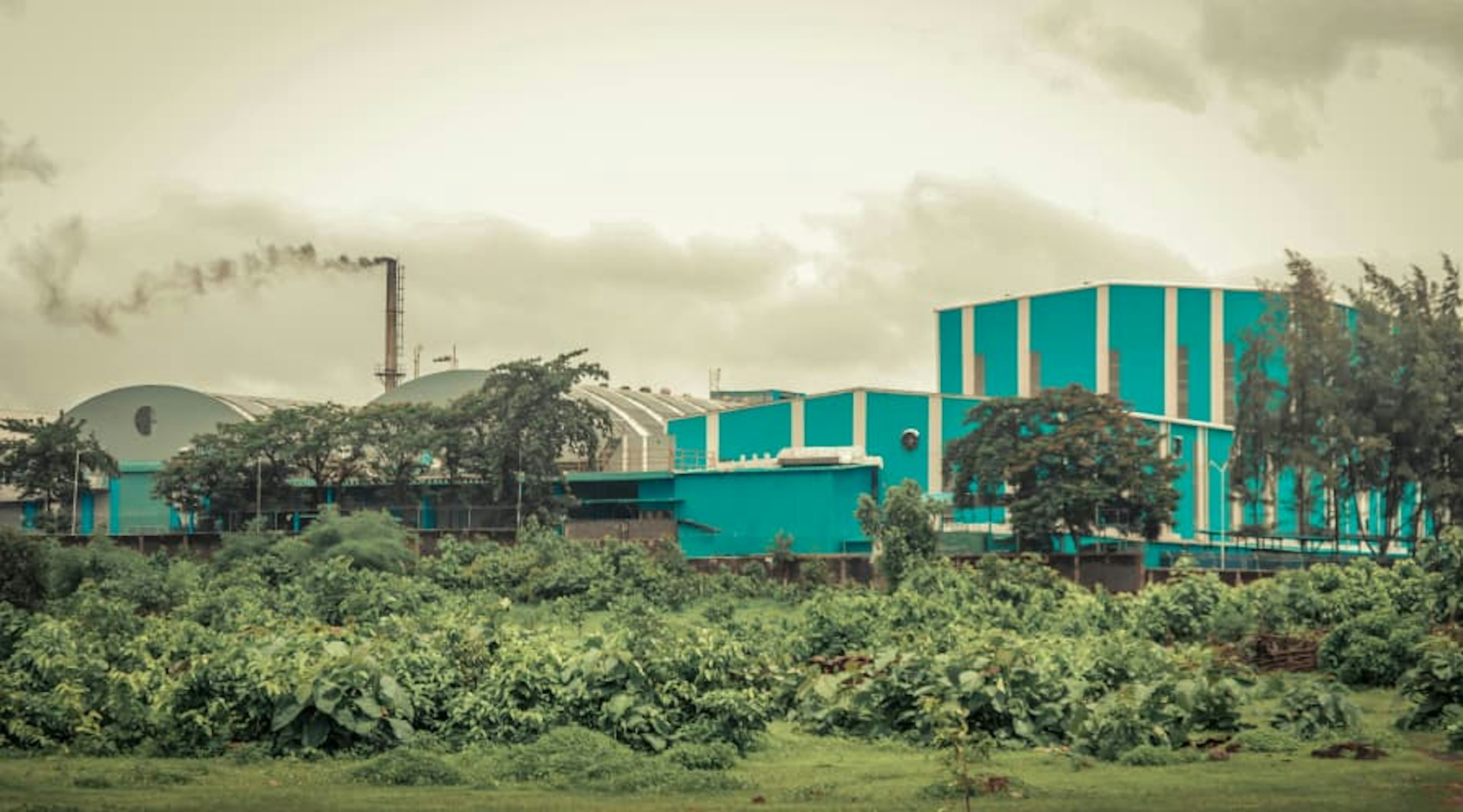 business surrounded by greenery