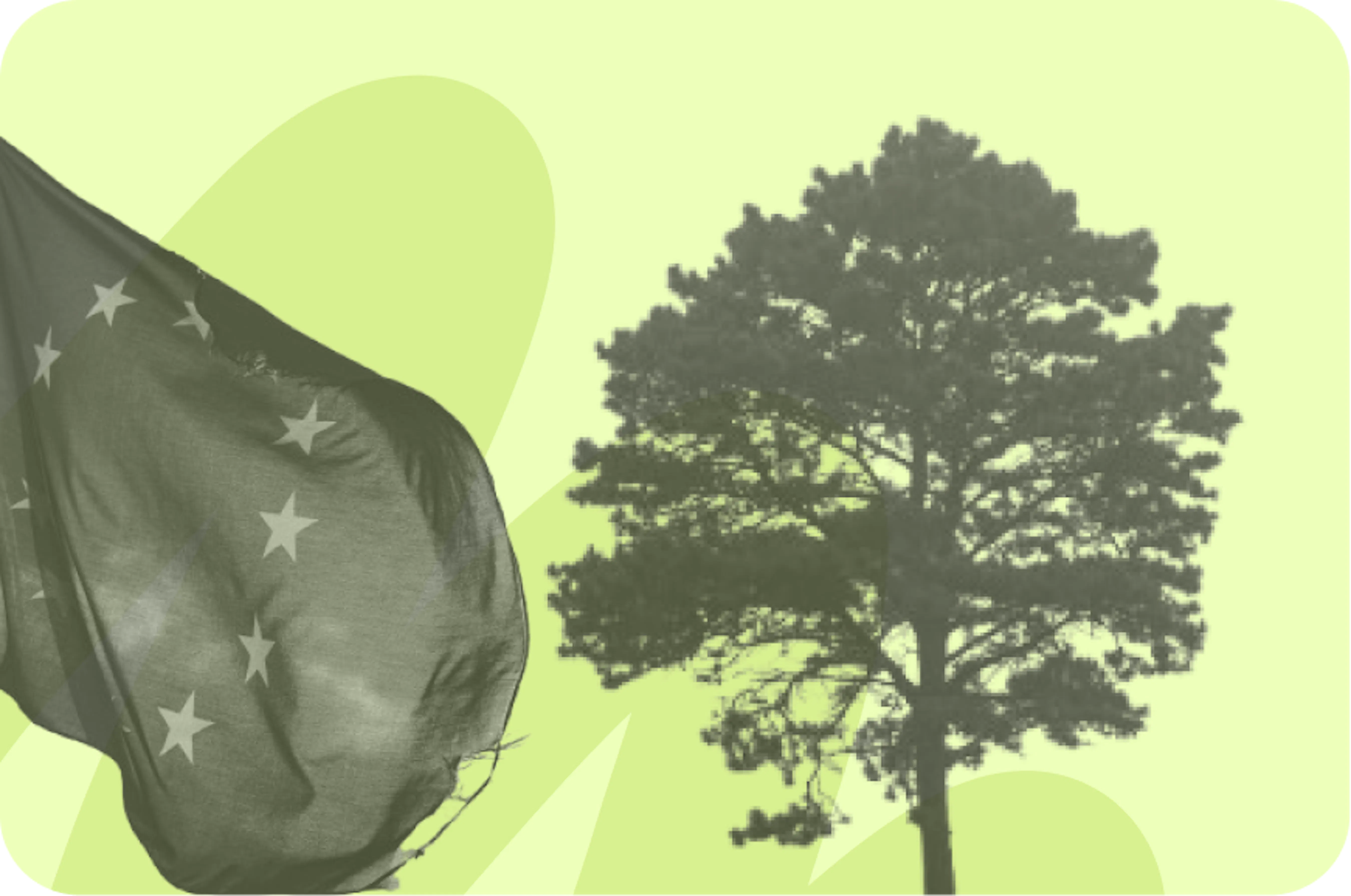 Graphic with EU flag and tree