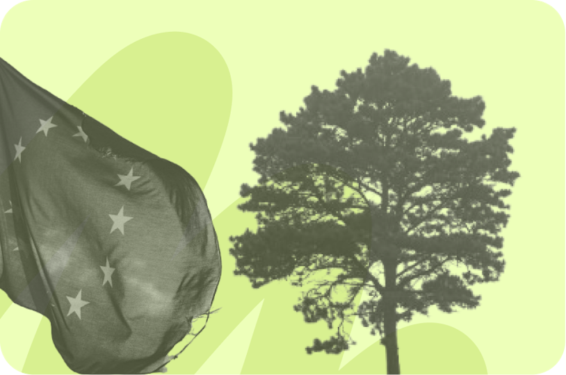 Graphic with EU flag and tree