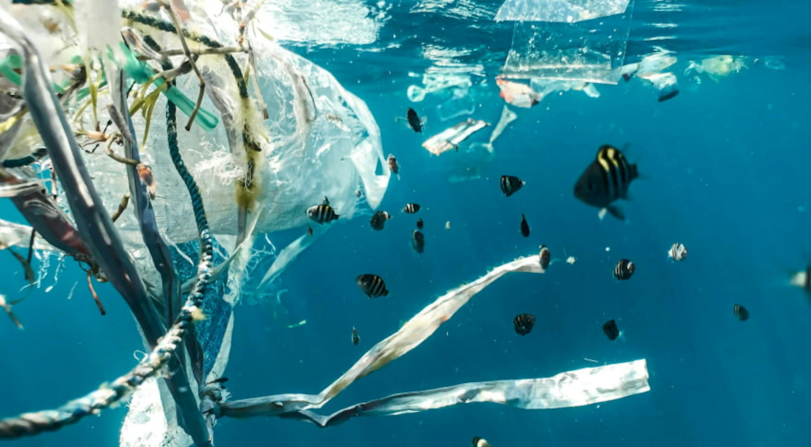 plastic in oceans