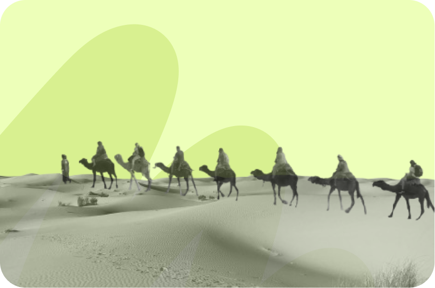 Camels walking through the desert