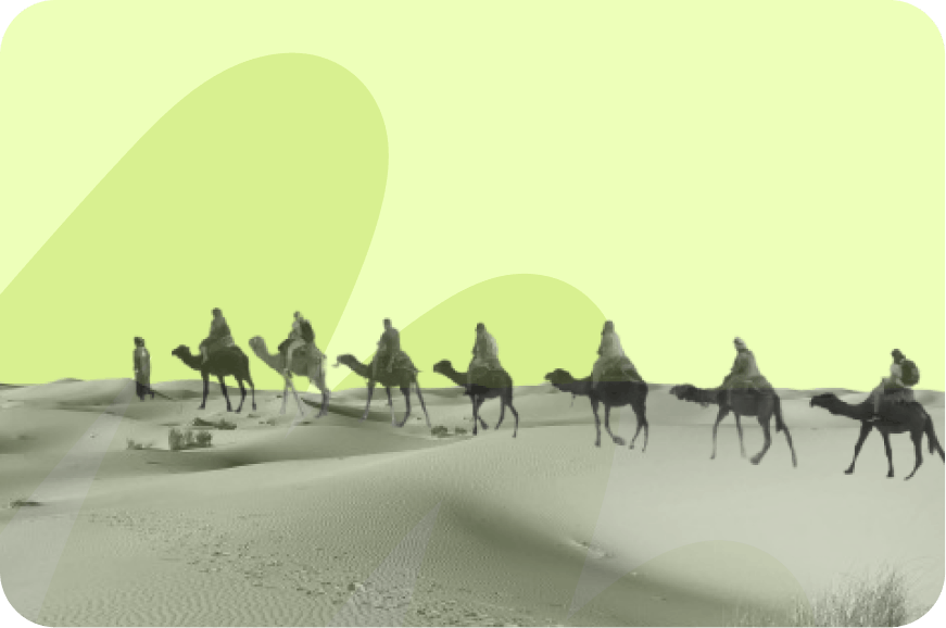 Camels walking through the desert