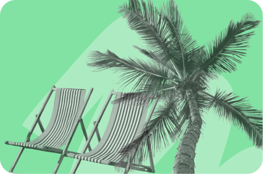 palm tree and sun loungers