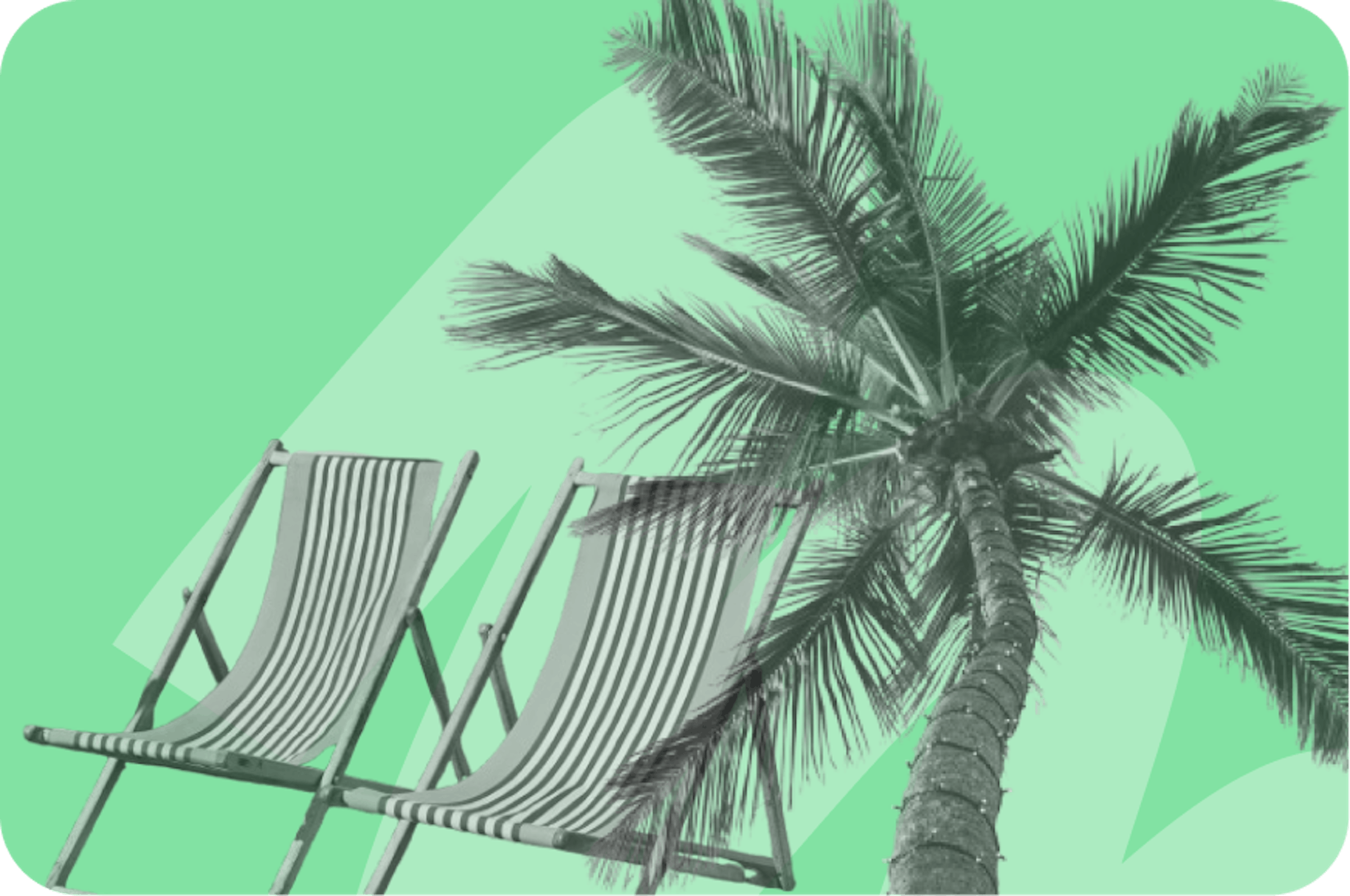 palm tree and sun loungers