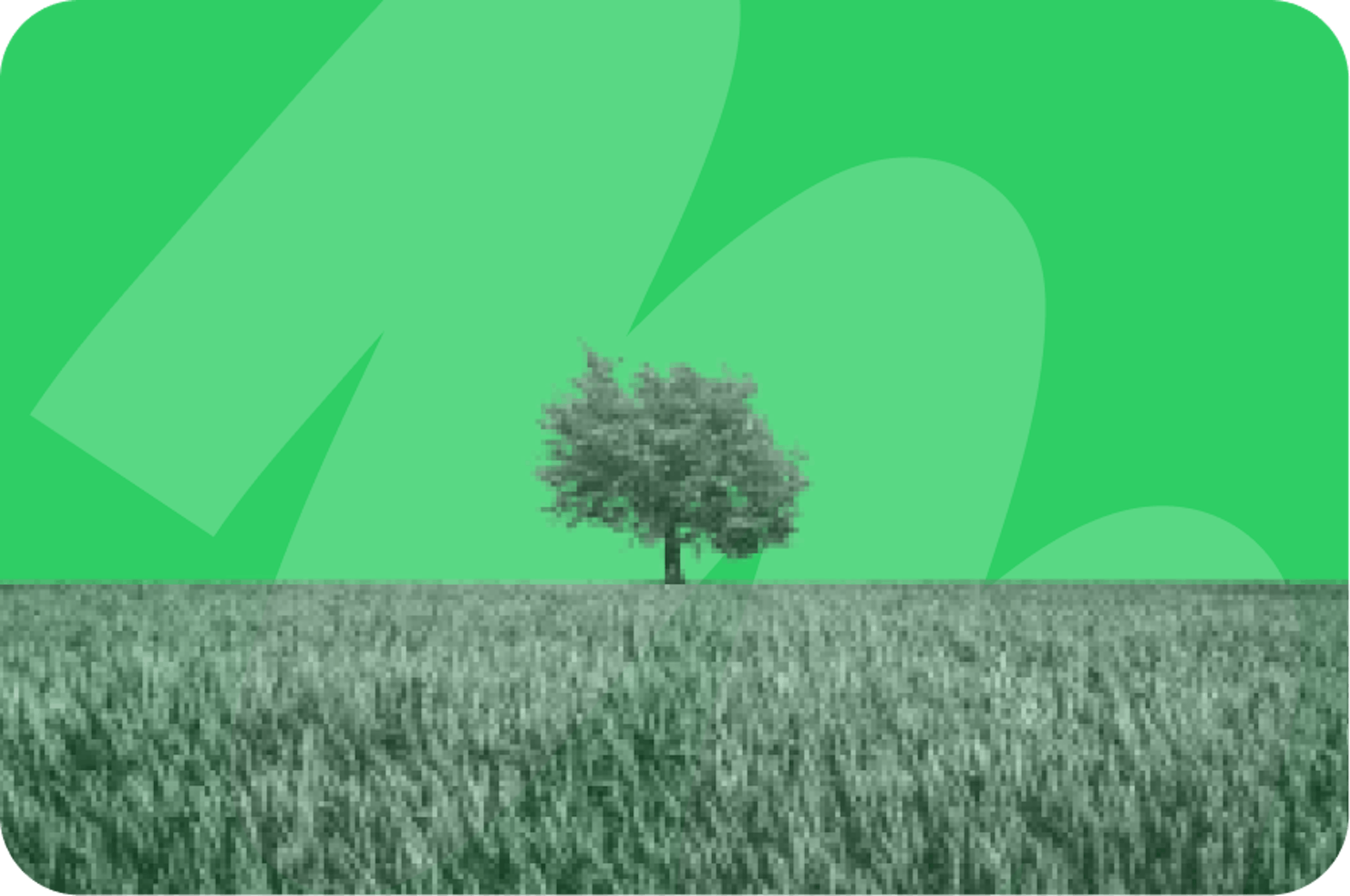 tree and grass land