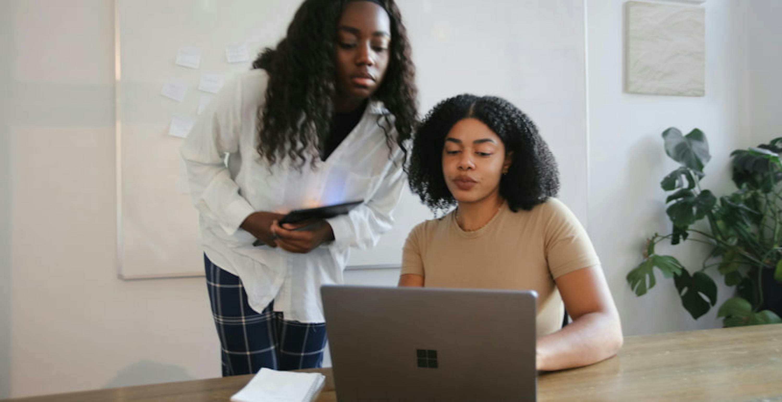 people working together on microsoft laptop