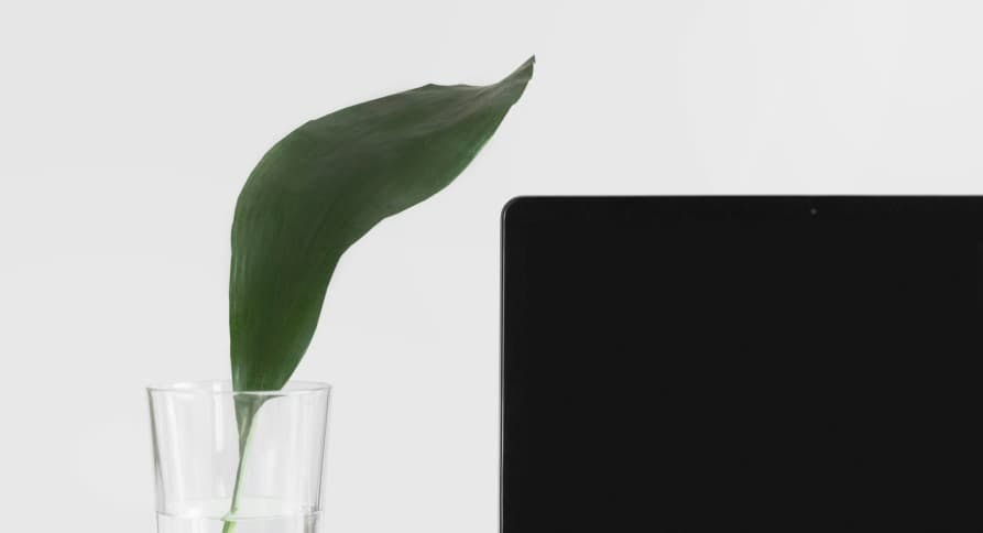 laptop next to leaf in glass