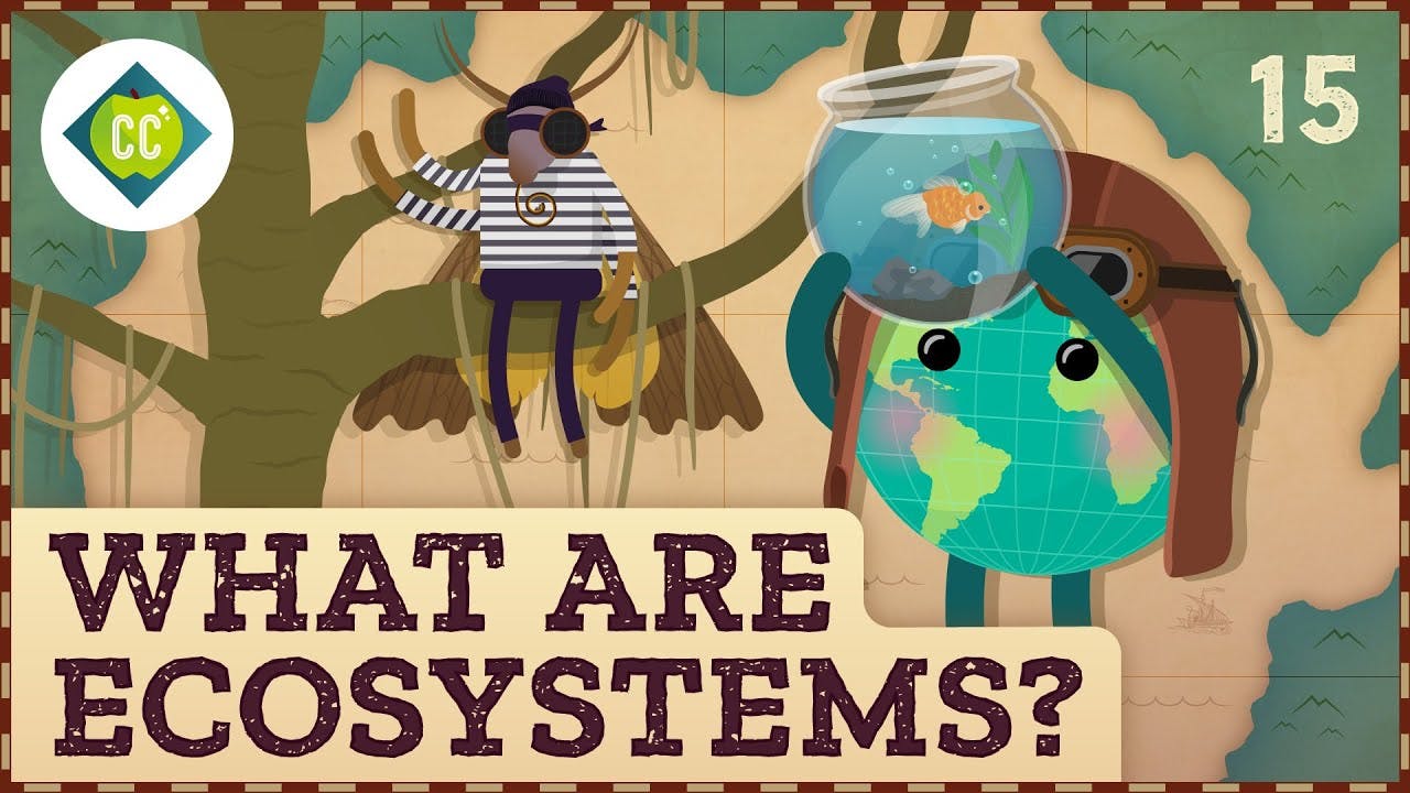 Ecosystem: Definition Components and Structure Ecosystem: Definition Components and Structure