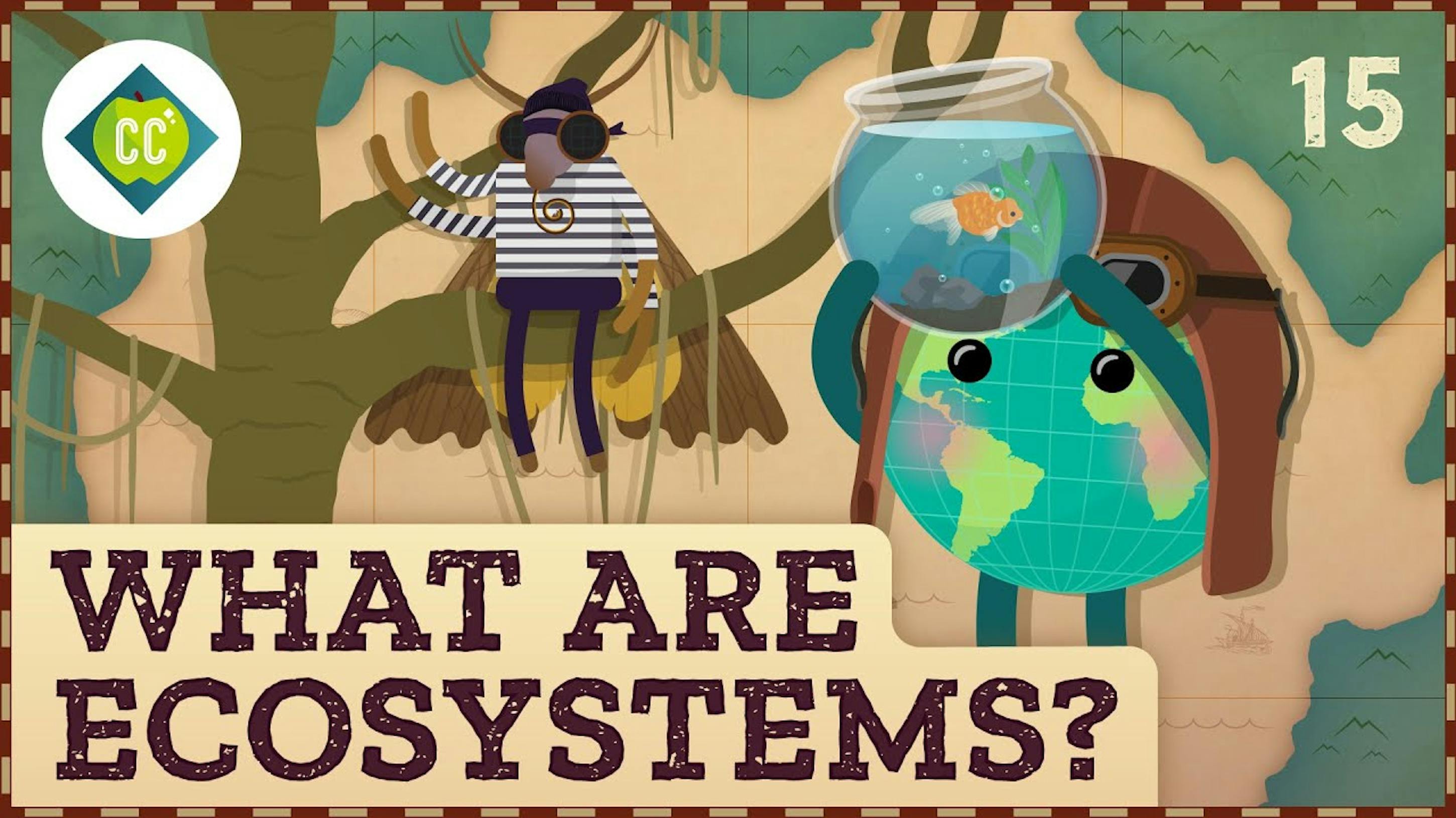Ecosystem: Definition Components and Structure