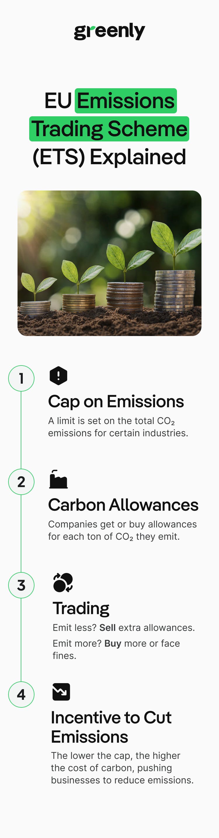 resume of the article in an infographic