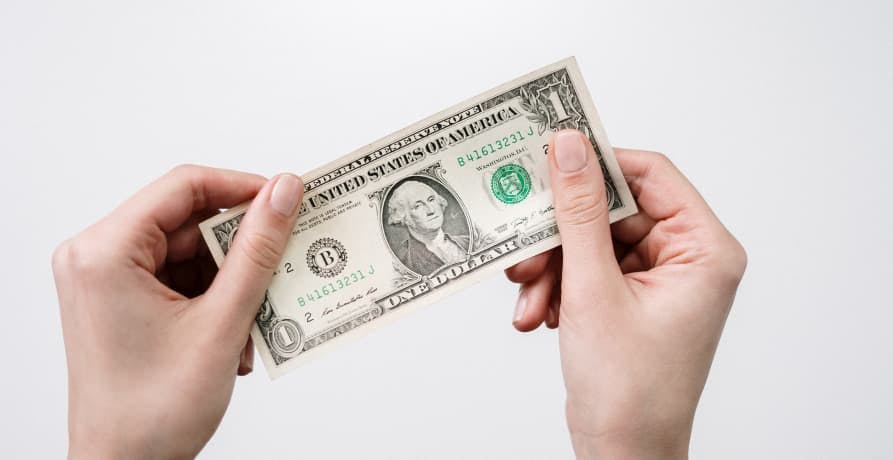 person holding usd bill